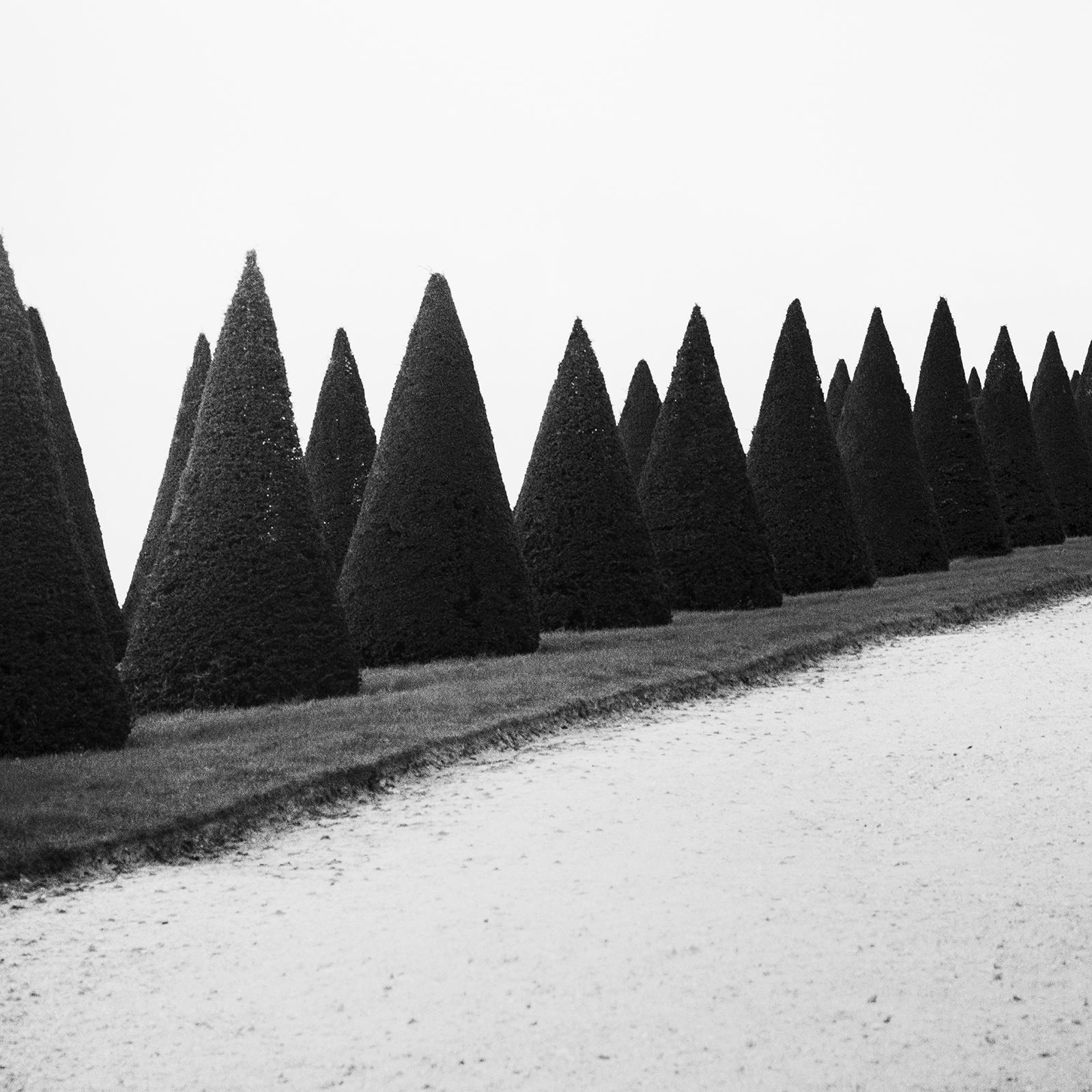Siepi, Versailles, Parigi, Francia, foto di paesaggio minimalista, edizione limitata in vendita 5