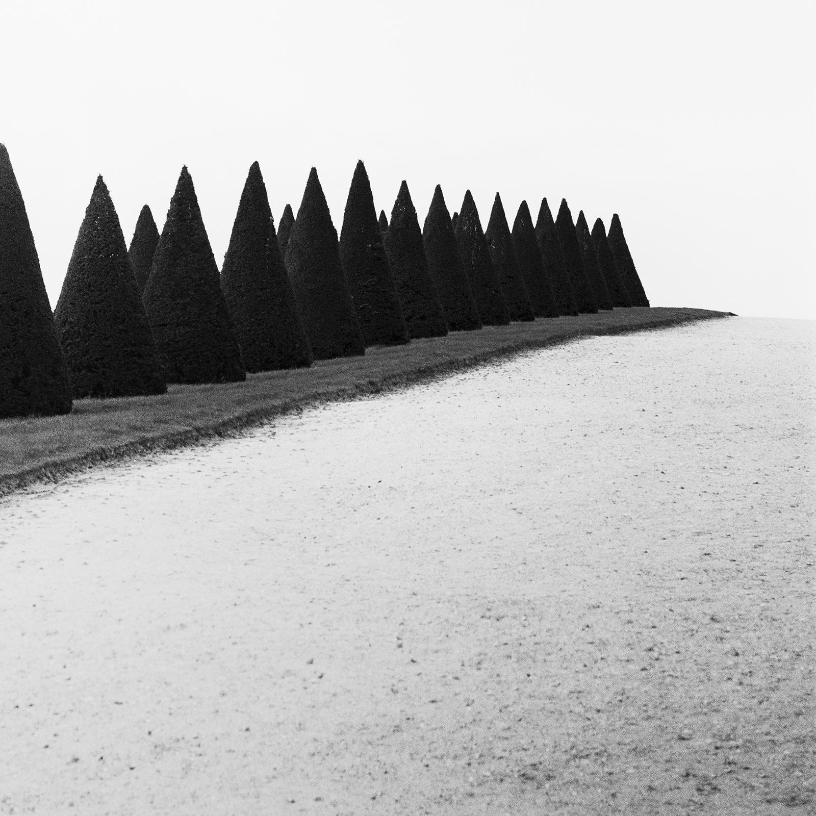 Siepi, Versailles, Parigi, Francia, foto di paesaggio minimalista, edizione limitata in vendita 3