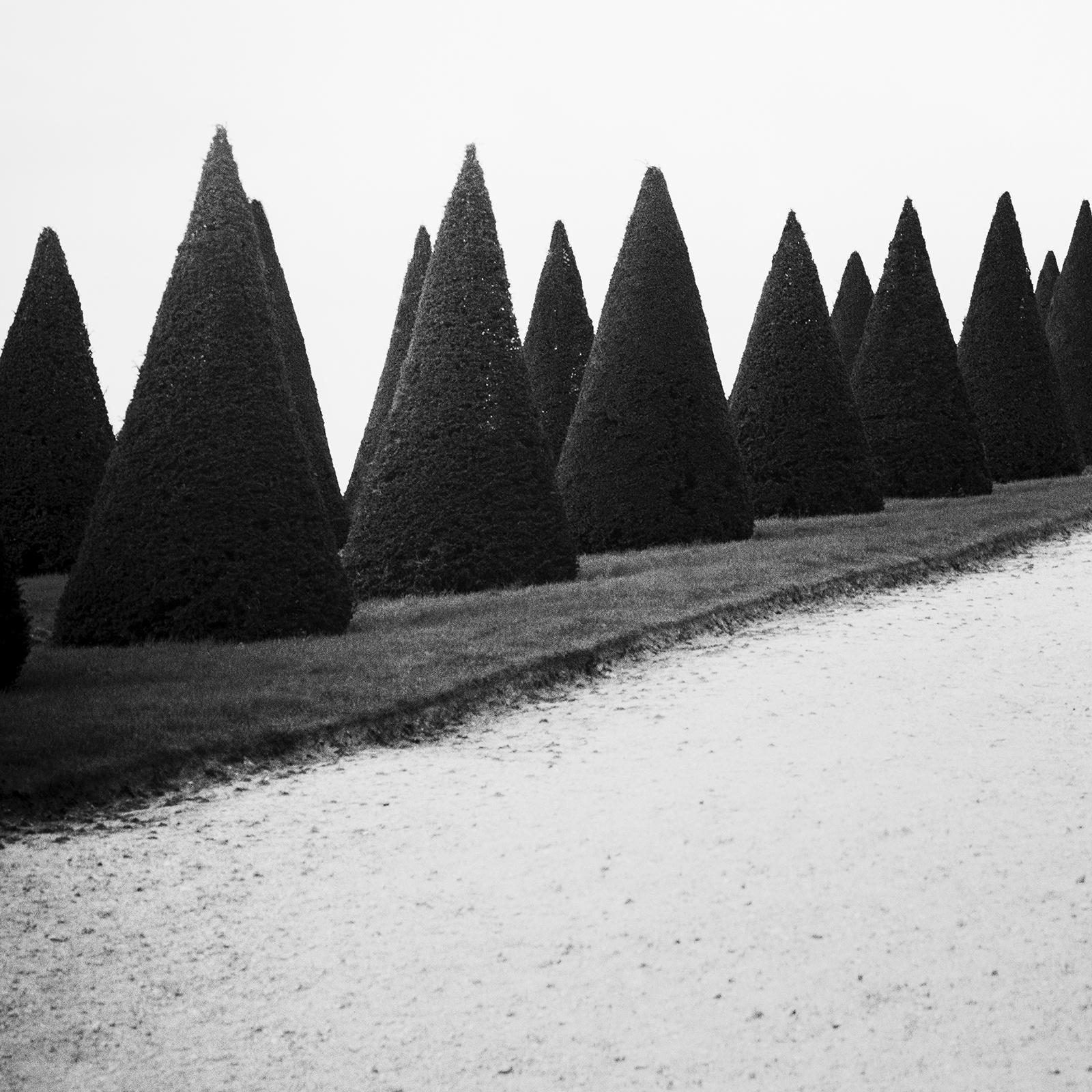 Siepi, Versailles, Parigi, Francia, foto di paesaggio minimalista, edizione limitata in vendita 4