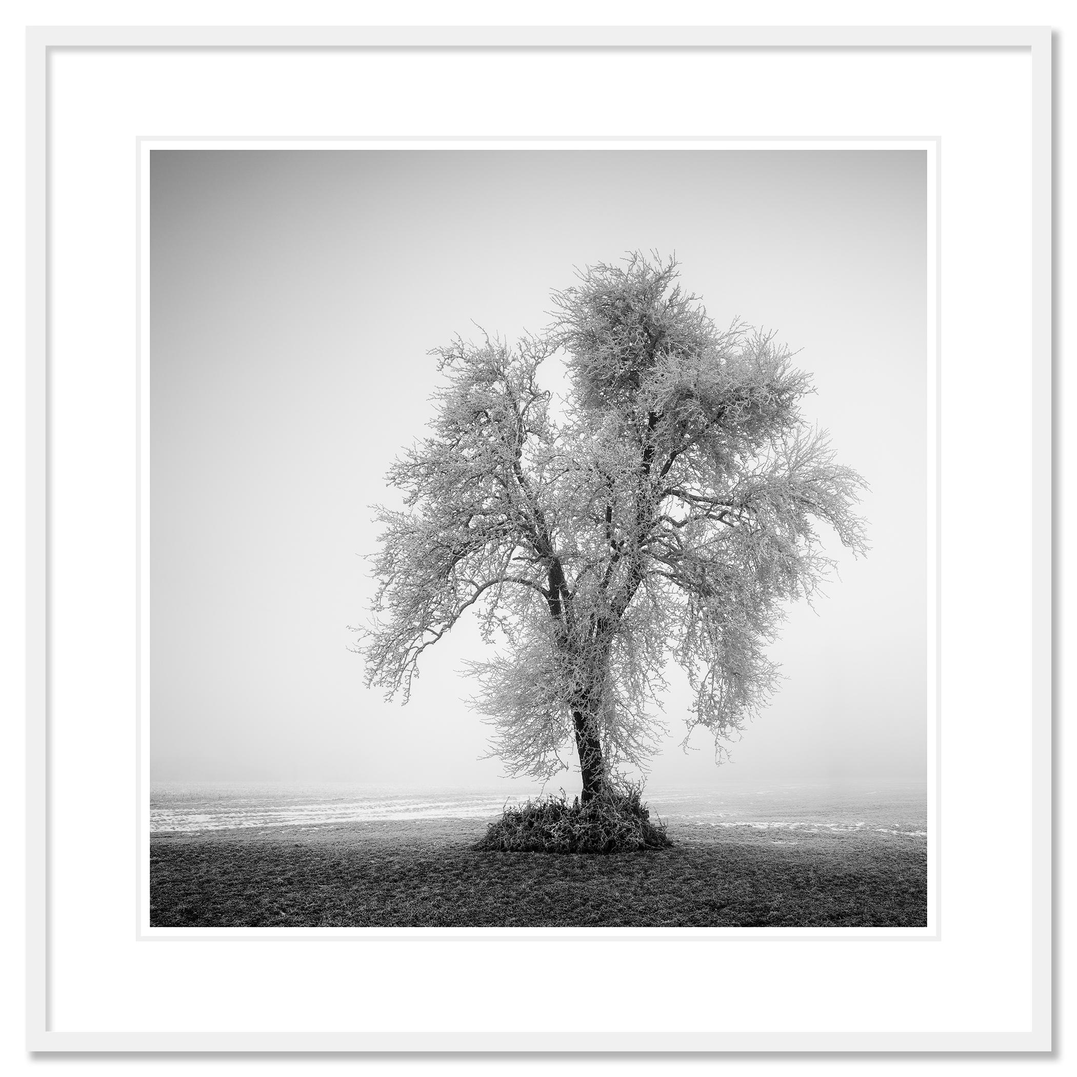 Digital pigment ink print, edition of 7. 
Signed, titled, dated and numbered by artist. 
Certificate of authenticity included. Printed with 4cm white border.

15.75 x 15.75 in. (40 x 40 cm) edition of 7
23.63 x 23.63 in. (60 x 60 cm) edition of