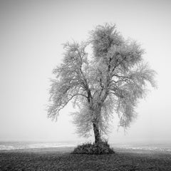 Black and White Photography