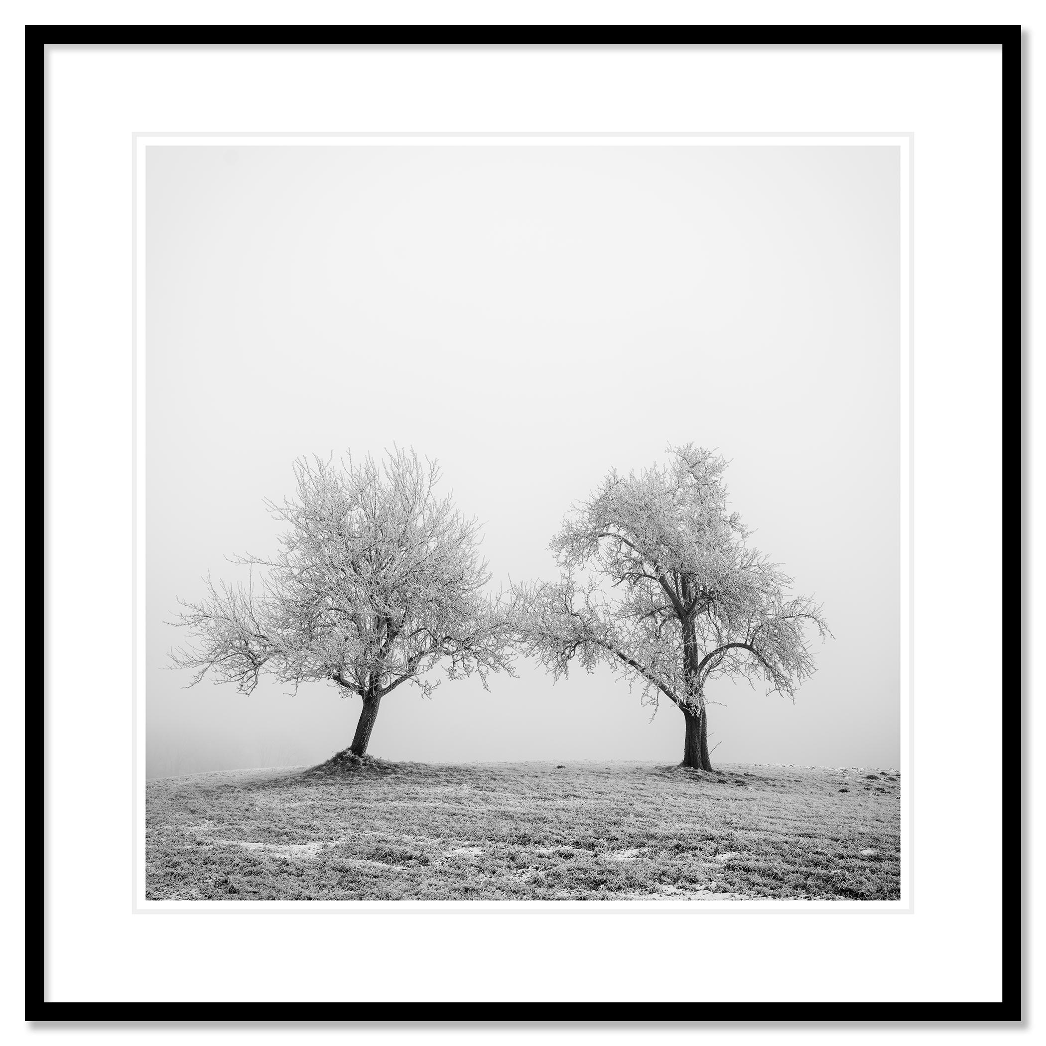 Black and white fine art winter landscape photography print. Archival pigment ink print, edition of 7. Signed, titled, dated and numbered by artist. Certificate of authenticity included. Printed with 4cm white border.
International award winner