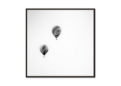 Hot Air Ballonmeisterschaft, Österreich, Schwarz-Weiß-Landschaftsfotografie
