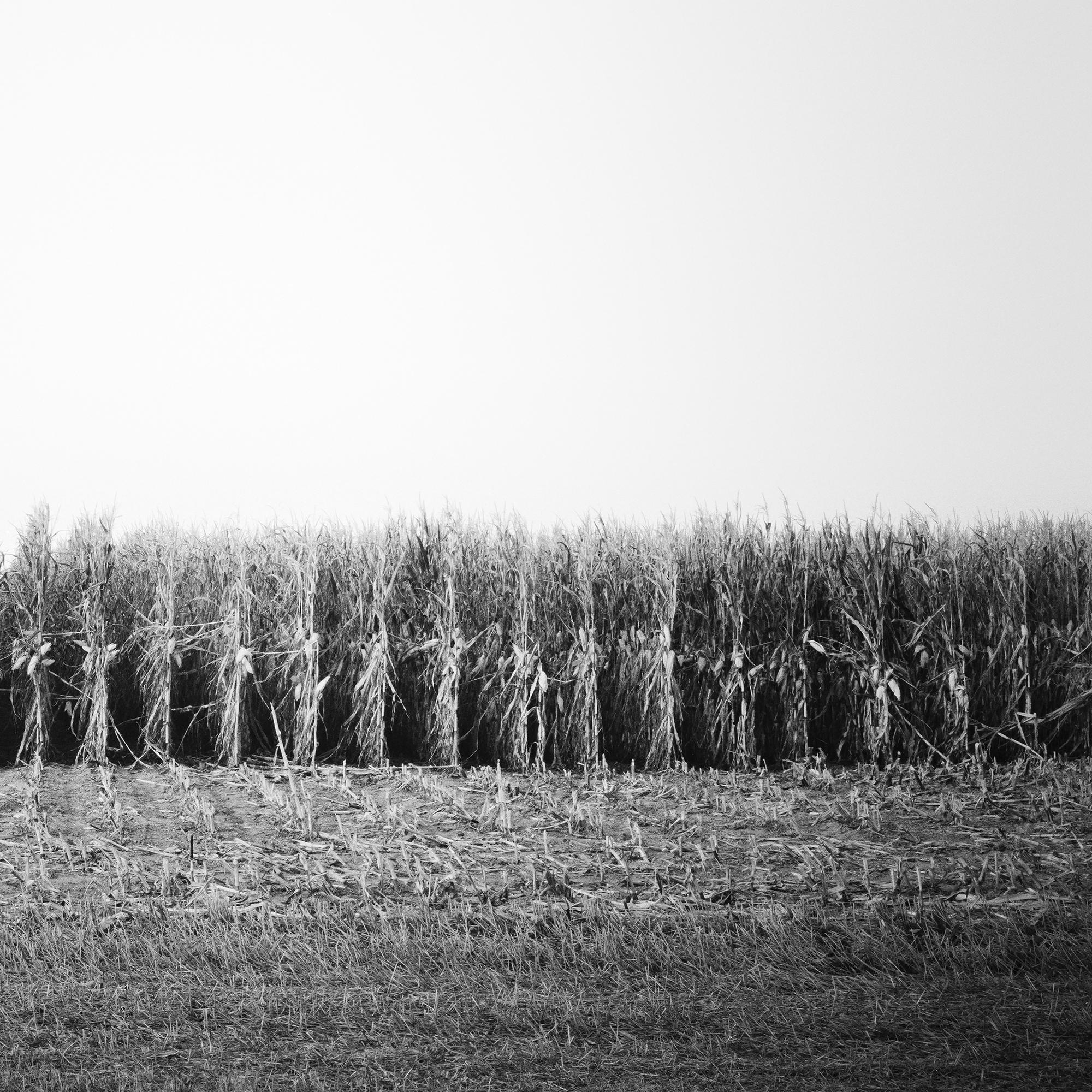 Championship Hot Air Balloon Championship, photographie monochrome, paysage en édition limitée en vente 4