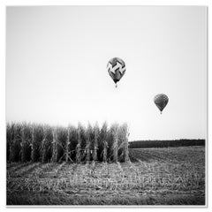 Hot Air Balloon Championship, black and white photography, limited edition