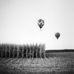 Hot Air Ballonmeisterschaft, Schwarz-Weiß-Fotografie in limitierter Auflage