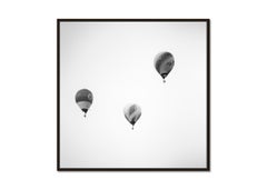 Hot Air Balloon, Championship, minimalist black and white photography, landscape