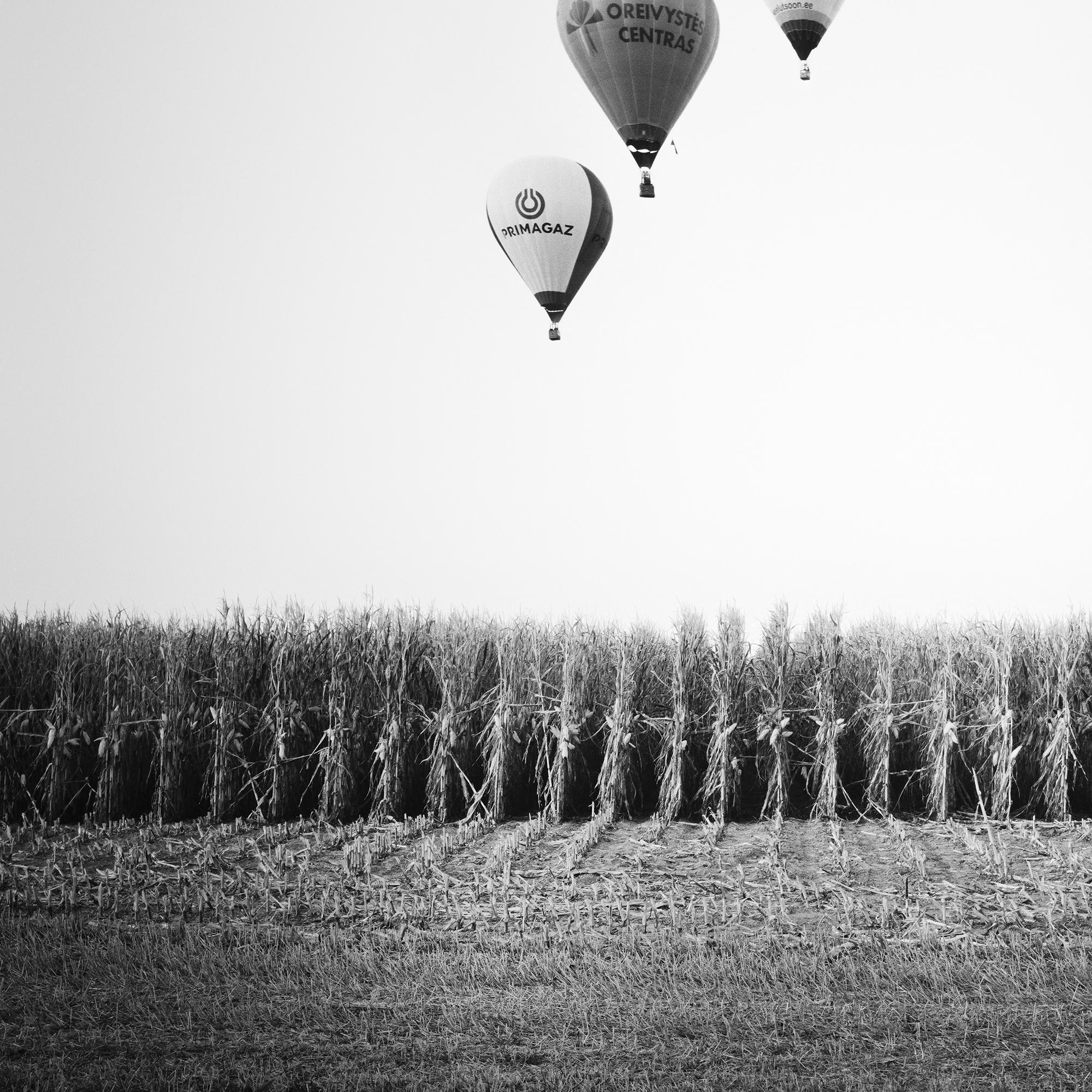Mongolfiera, Campionato, paesaggio monocromatico, edizione limitata, stampa in vendita 5