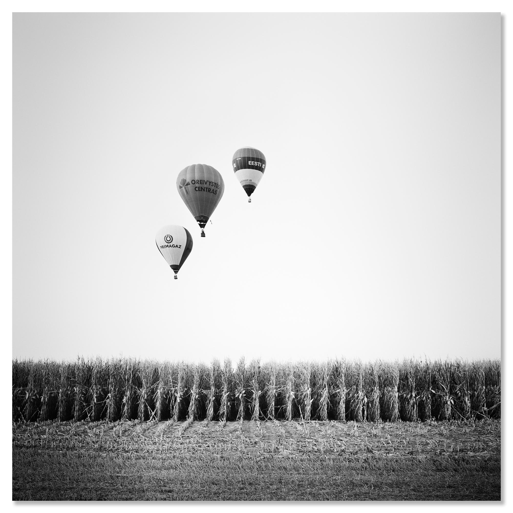 Mongolfiera, Campionato, paesaggio monocromatico, edizione limitata, stampa in vendita 3