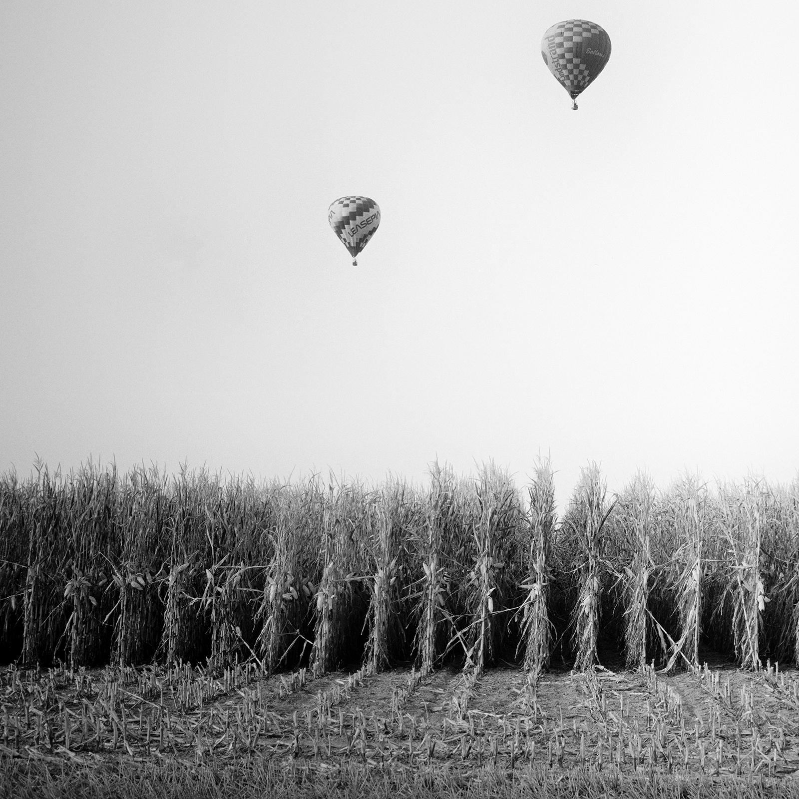Hot Air Balloon, Cornfield, Championship, Schwarz-Weiß-Landschaftsfotodruck im Angebot 3