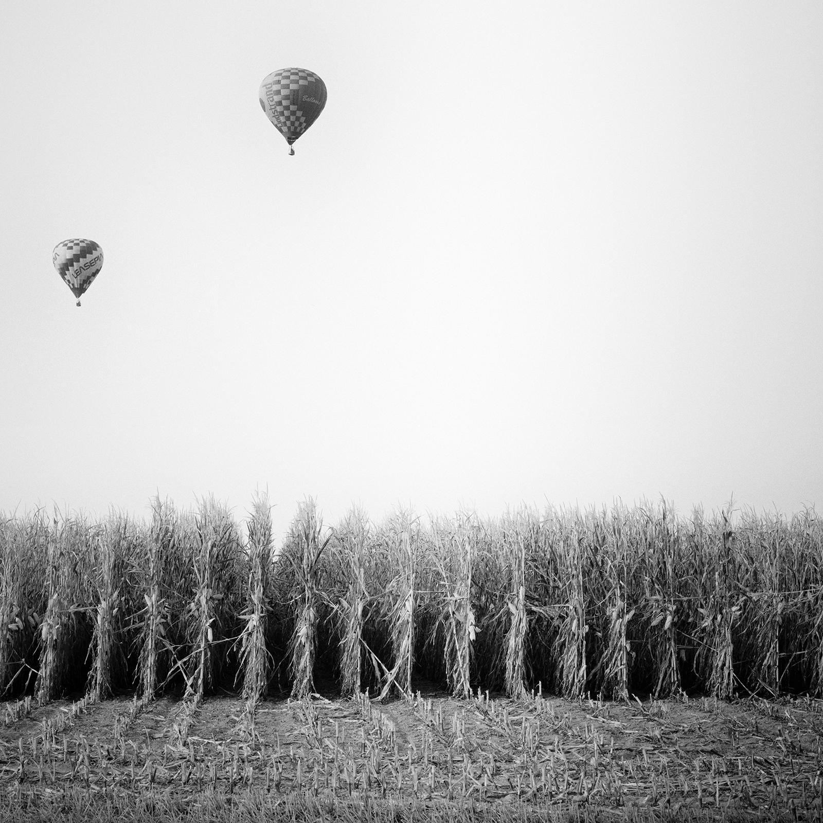 Hot Air Balloon, Cornfield, Championship, Schwarz-Weiß-Landschaftsfotodruck im Angebot 4