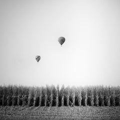 Hot Air Balloon, Cornfield, Championship, black and white landscape photo print