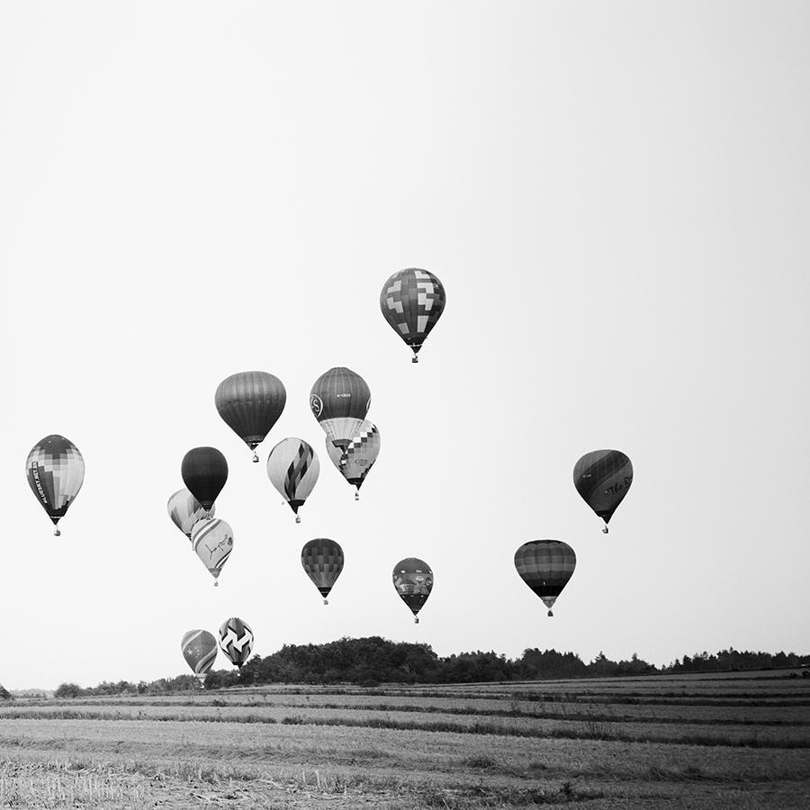 Hot Air Balloon Panorama, Championship, black and white photography, landscape For Sale 5