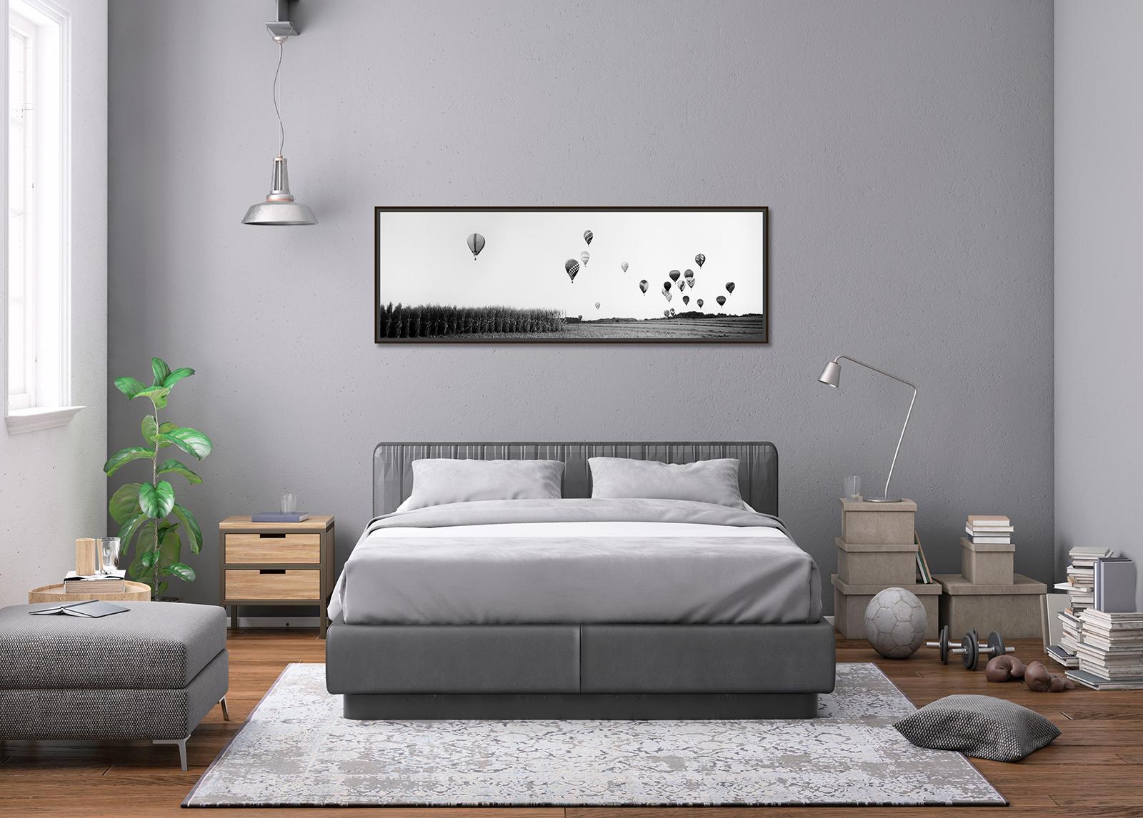 Panorama del Globo Aerostático, Campeonato, fotografía en blanco y negro, paisaje en venta 1