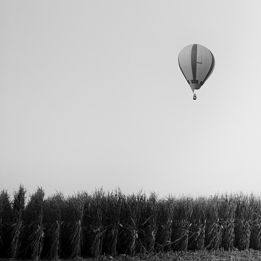 Hot Air Balloon Panorama, Championship, black and white photography, landscape For Sale 3