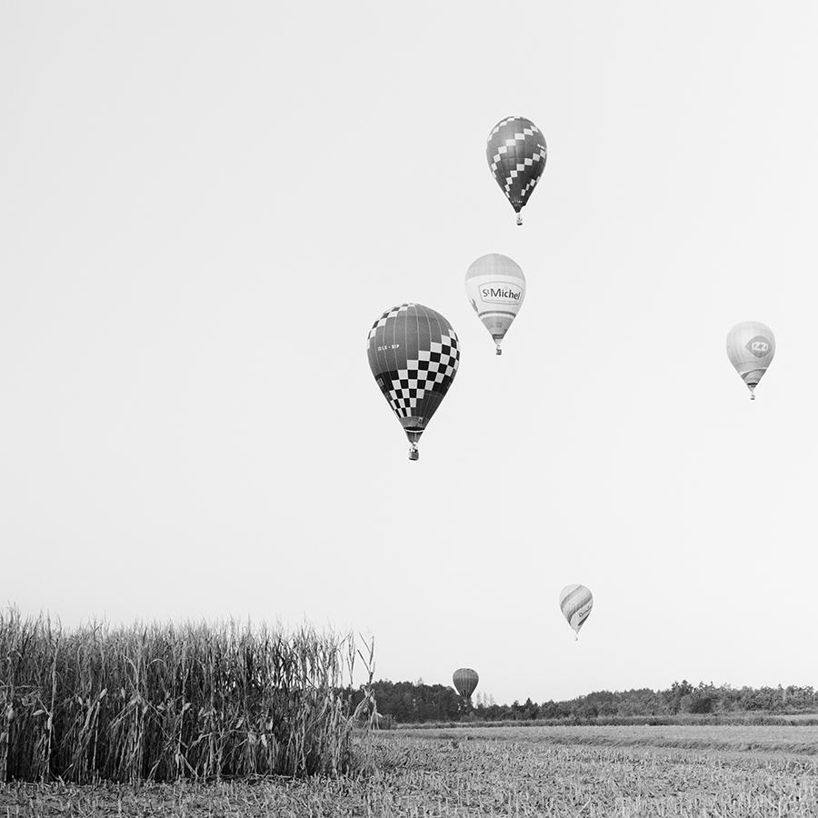 Hot Air Balloon Panorama, Championship, black and white photography, landscape For Sale 4