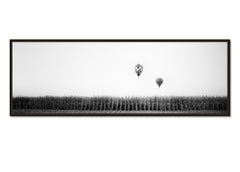 Hot Air Ballon Panorama, Cornfield, Schwarz-Weiß, Kunstlandschaft, Fotografie