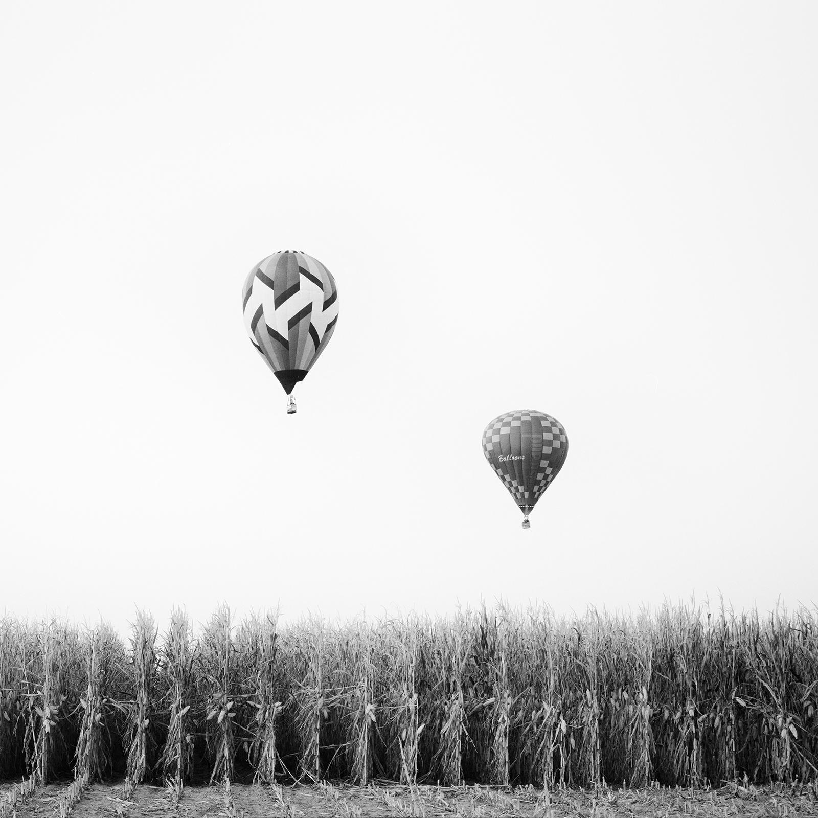 Hot Air Balloon Panorama, Cornfield, black and white, art landscape, photography For Sale 3
