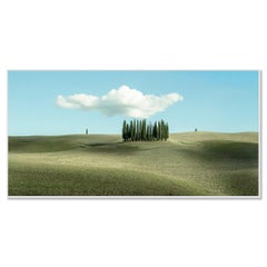 Hughes Cloud over Cypress Trees, Tuscany, Italy - paesaggio a colori foto limitata