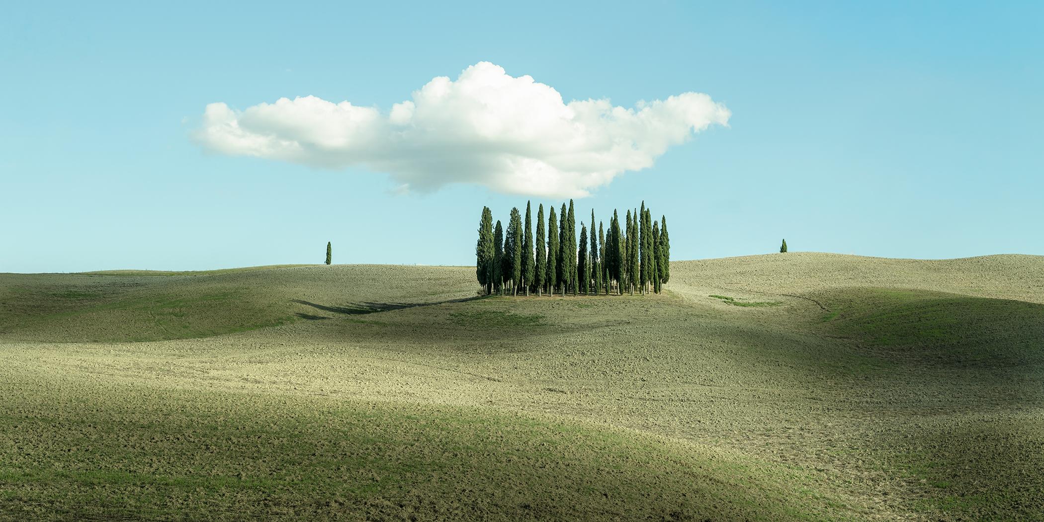 Gerald Berghammer Landscape Photograph - Hugh Cloud over Cypress Trees, Tuscany, Italy - landscape color limited photo