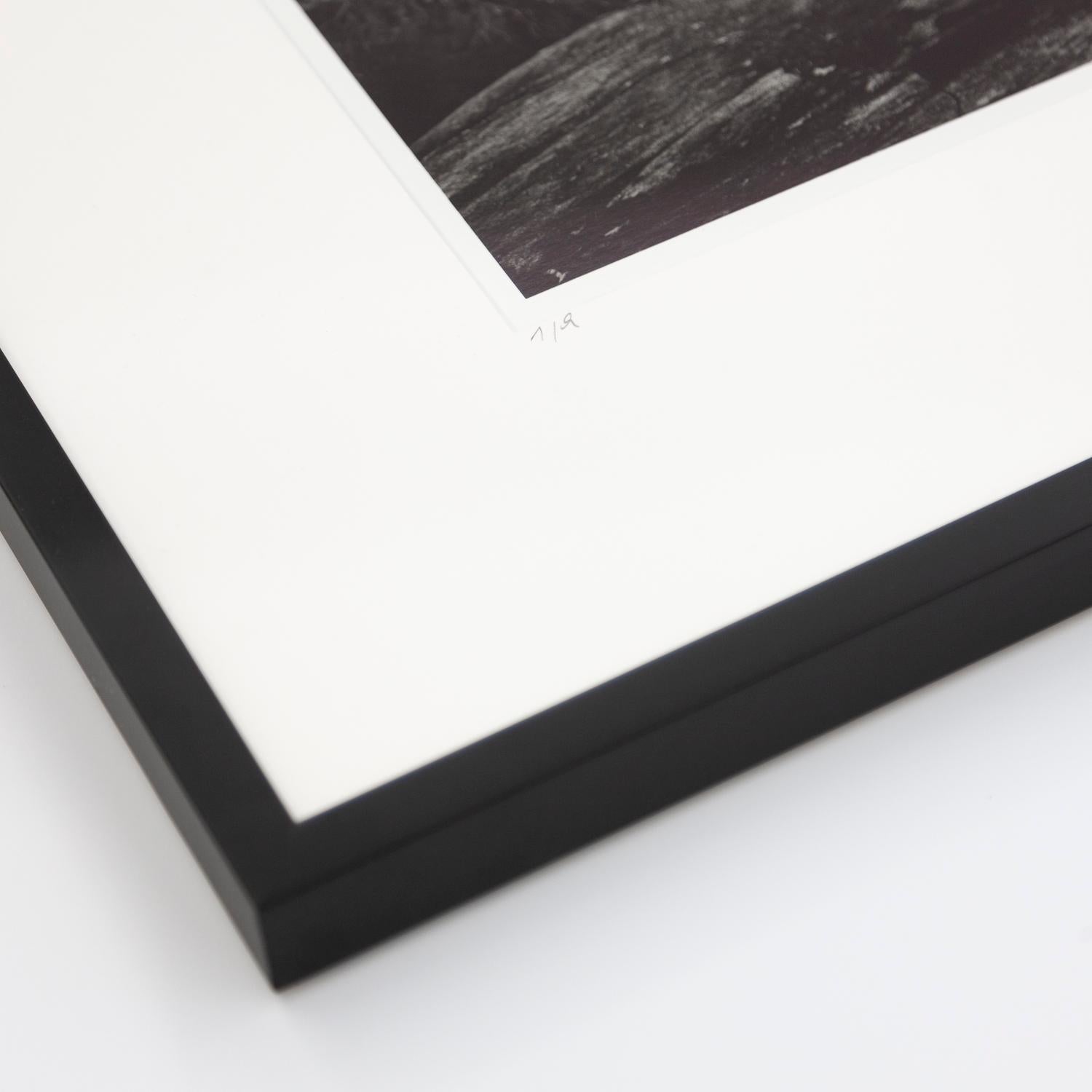 what is gelatin silver print