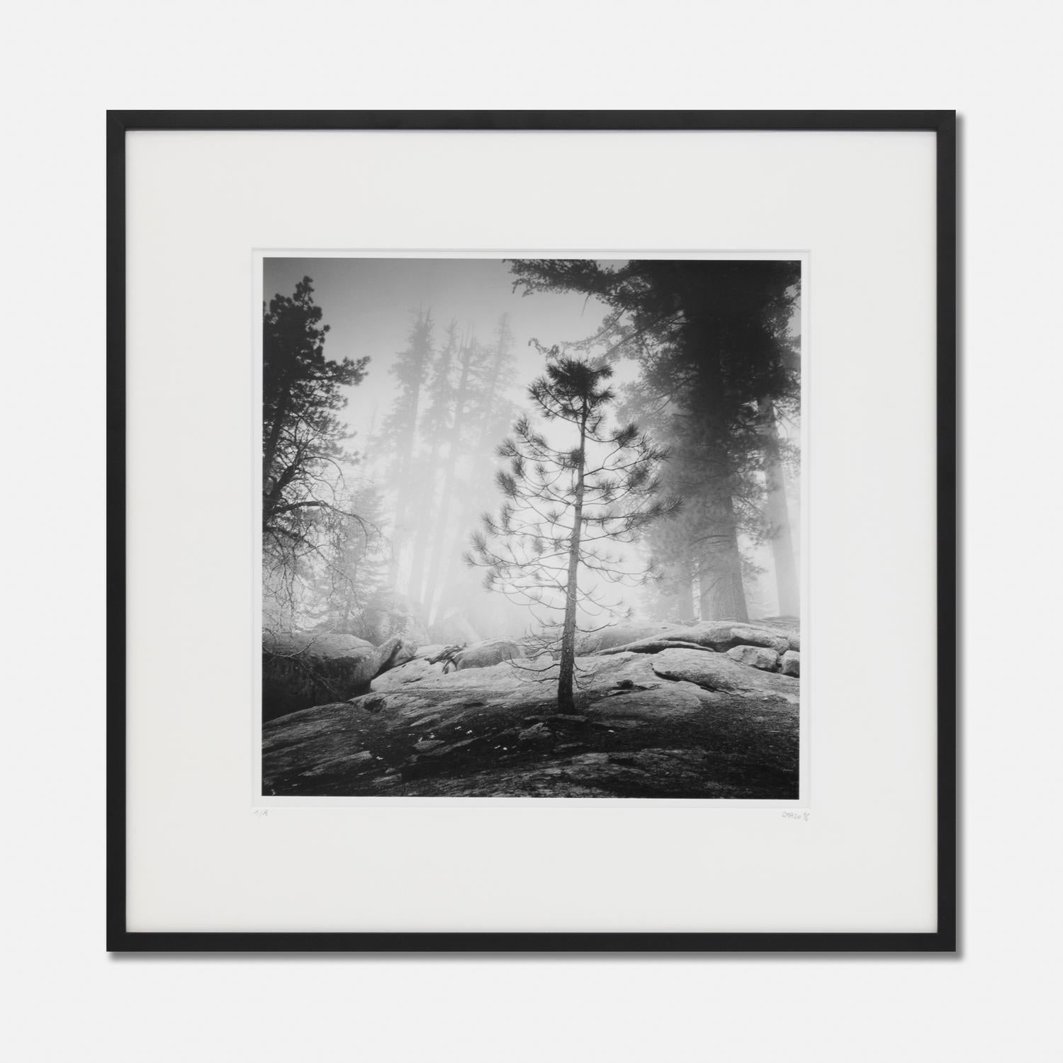 Into the Wild, California, USA, black and white gelatin silver print, wood frame