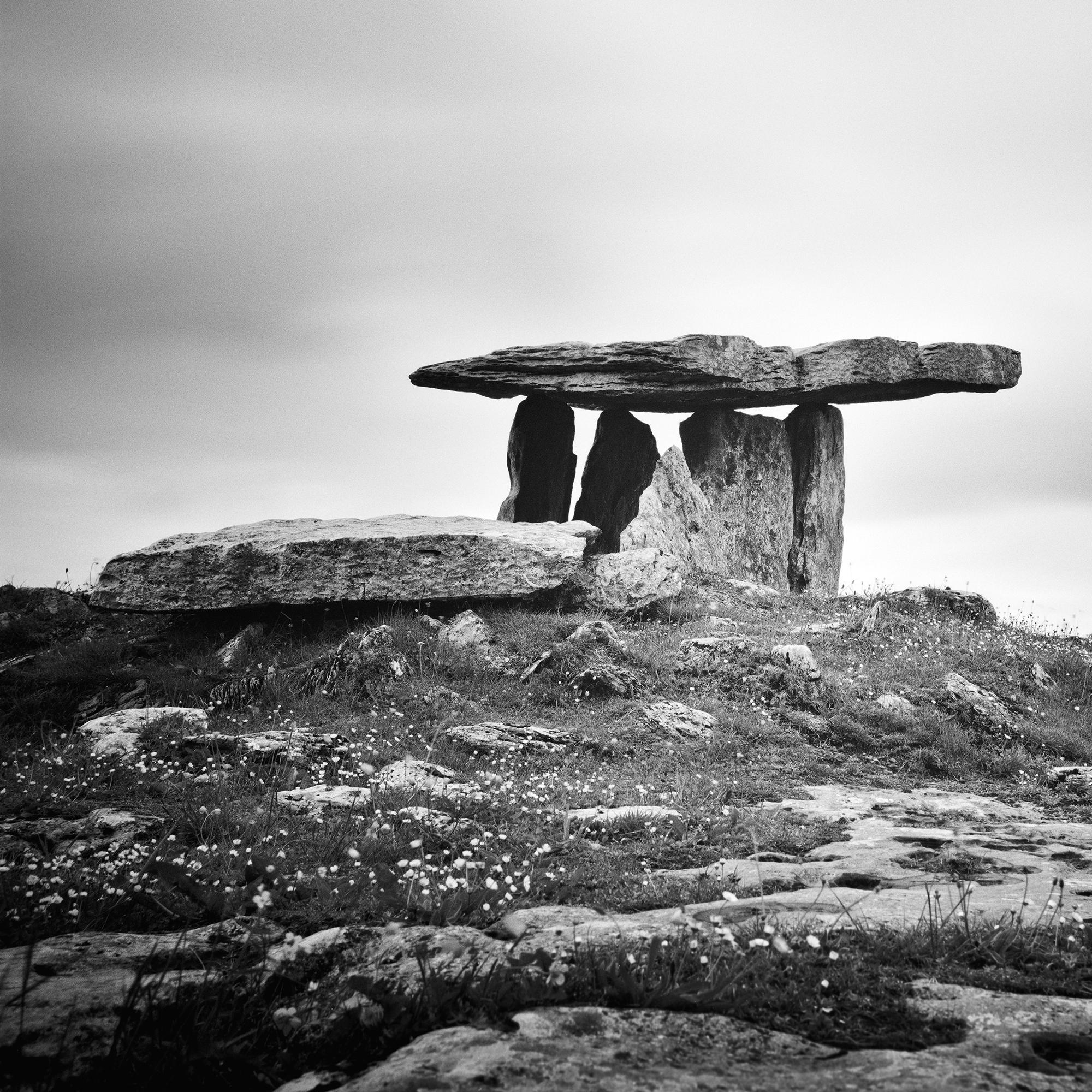 Irish megalithic Tomb Ireland monochrome photograph landscape limited For Sale 5