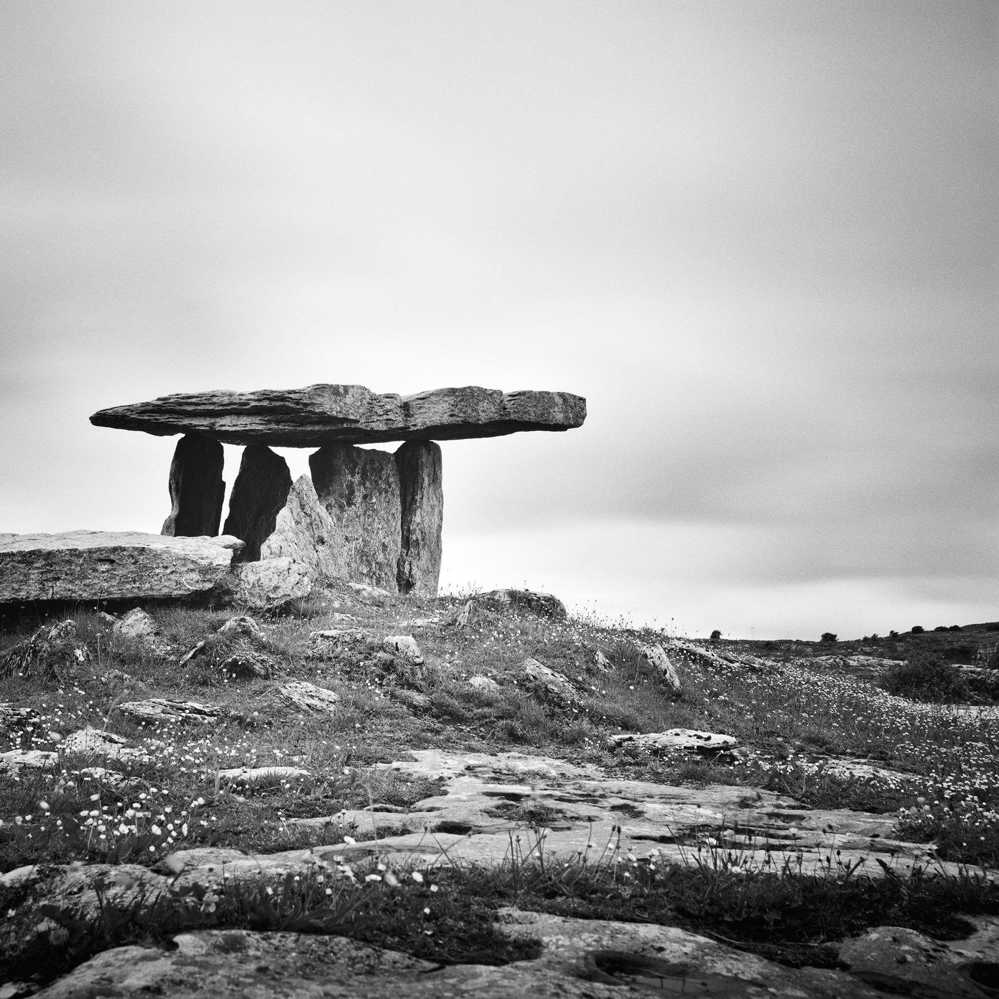 Irish megalithic Tomb Ireland monochrome photograph landscape limited For Sale 6