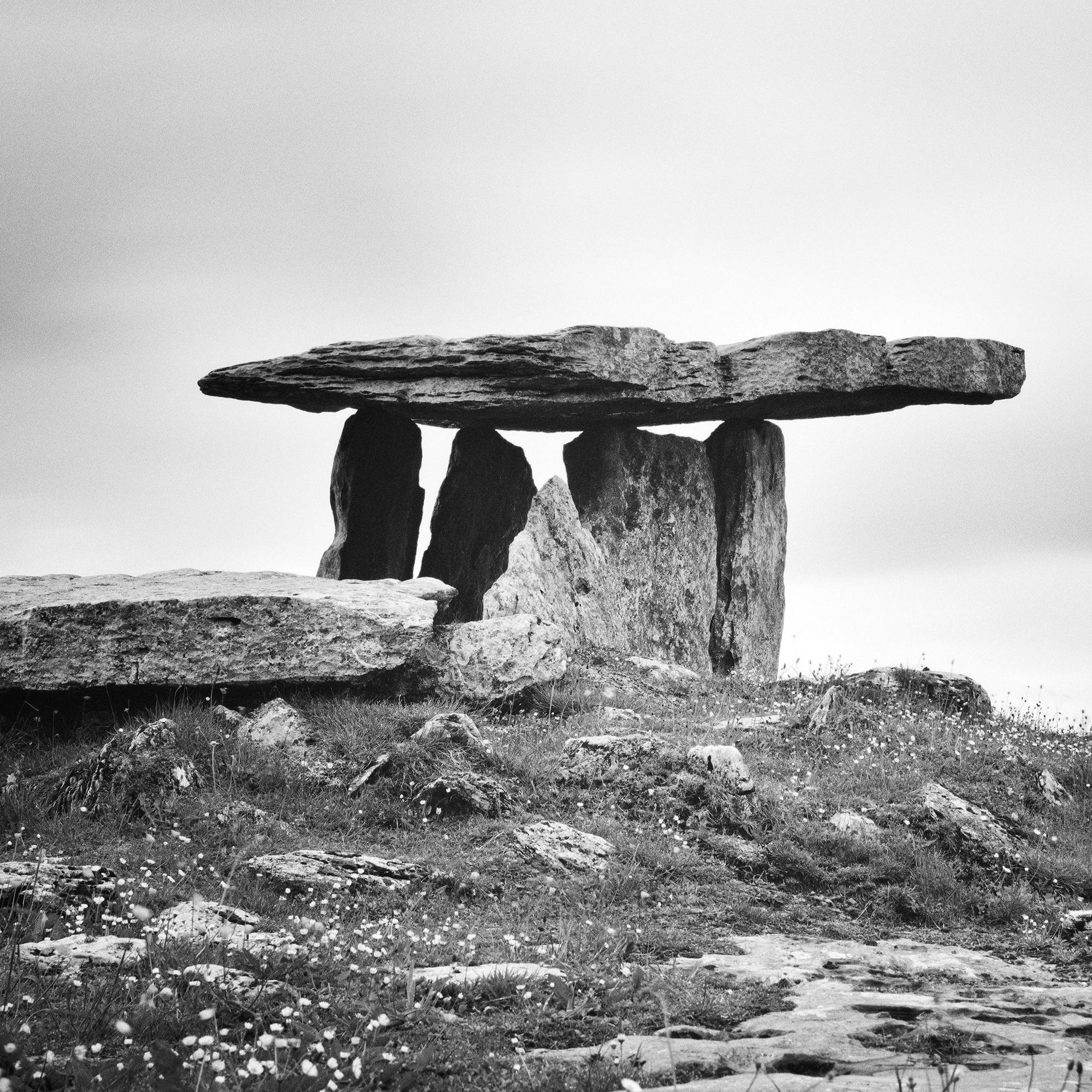 Irish megalithic Tomb Ireland monochrome photograph landscape limited For Sale 7