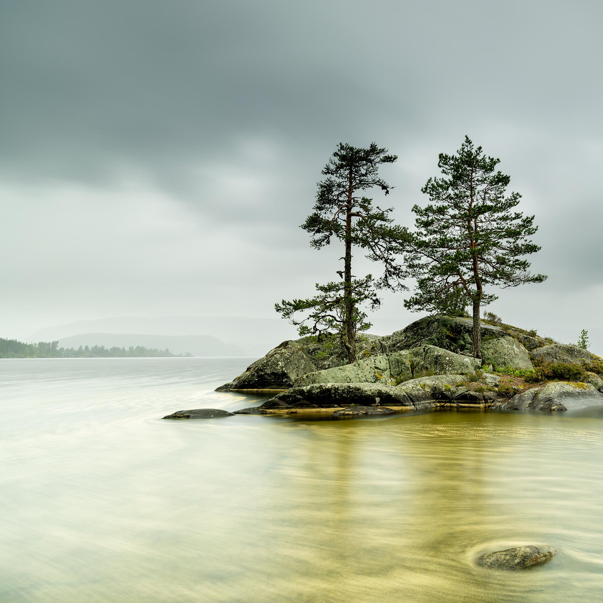 Island in jaune Water, grande photographie en couleur, paysage, édition limitée en vente 5