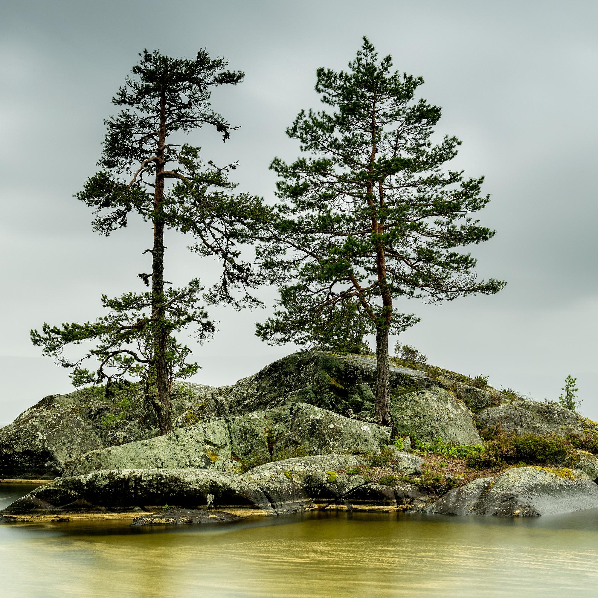 Island in jaune Water, grande photographie en couleur, paysage, édition limitée en vente 7