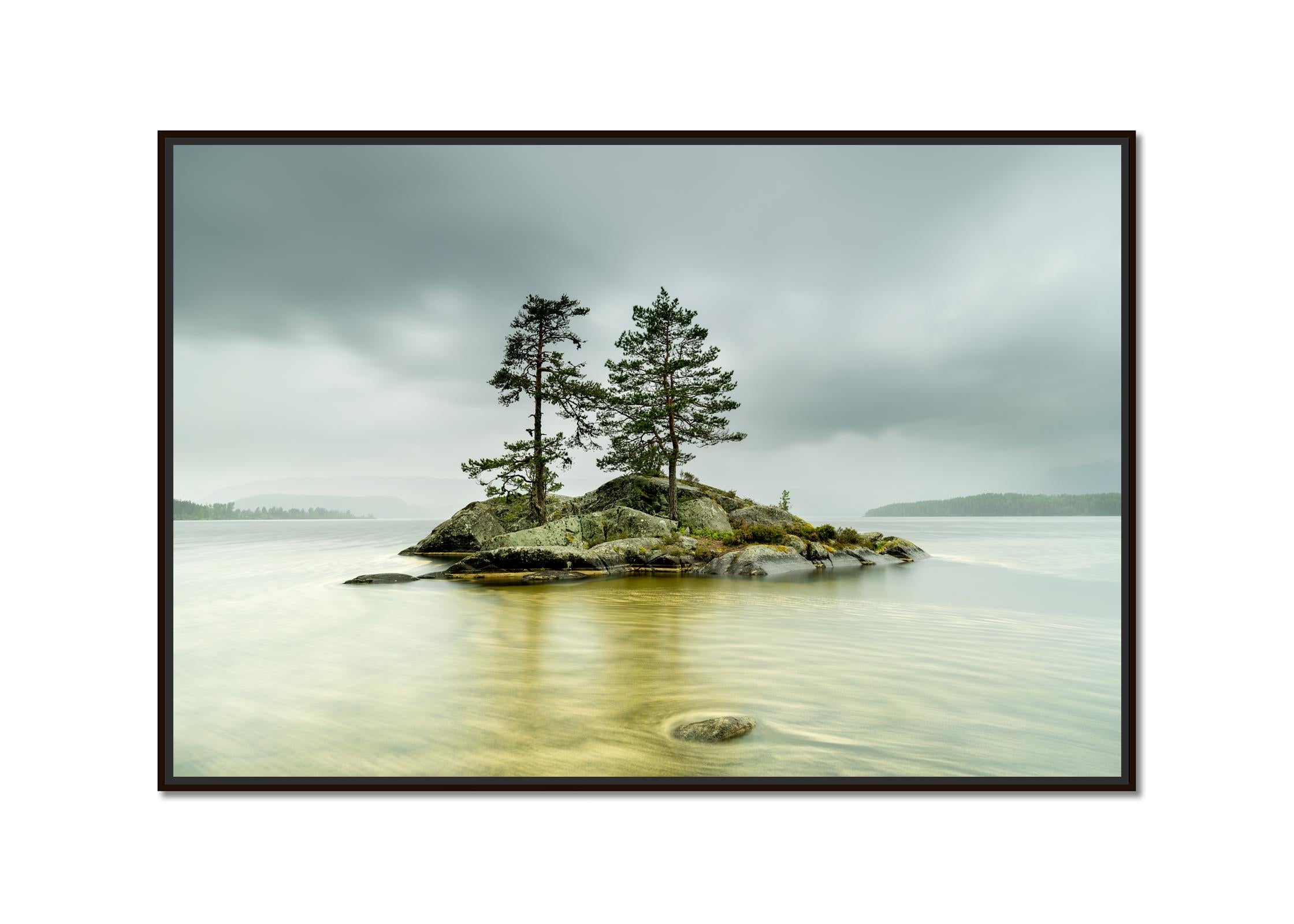 Isla en agua amarilla, fotografía en color de gran tamaño, paisaje, edición limitada - Photograph de Gerald Berghammer
