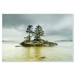 Isola in acqua gialla, fotografia a colori di grandi dimensioni, paesaggio, edizione limitata