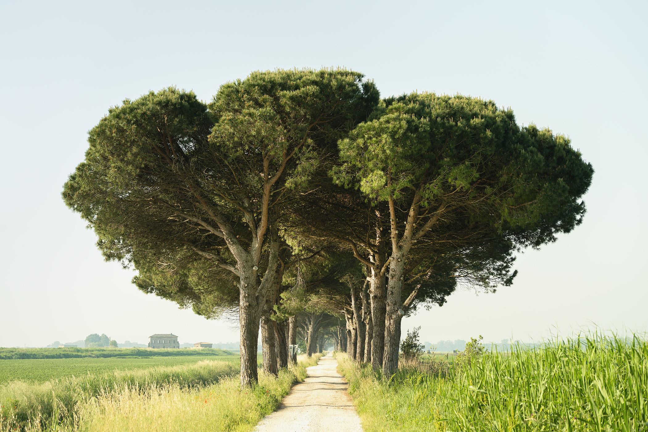 A Stone Stone italien Emilia Romagna