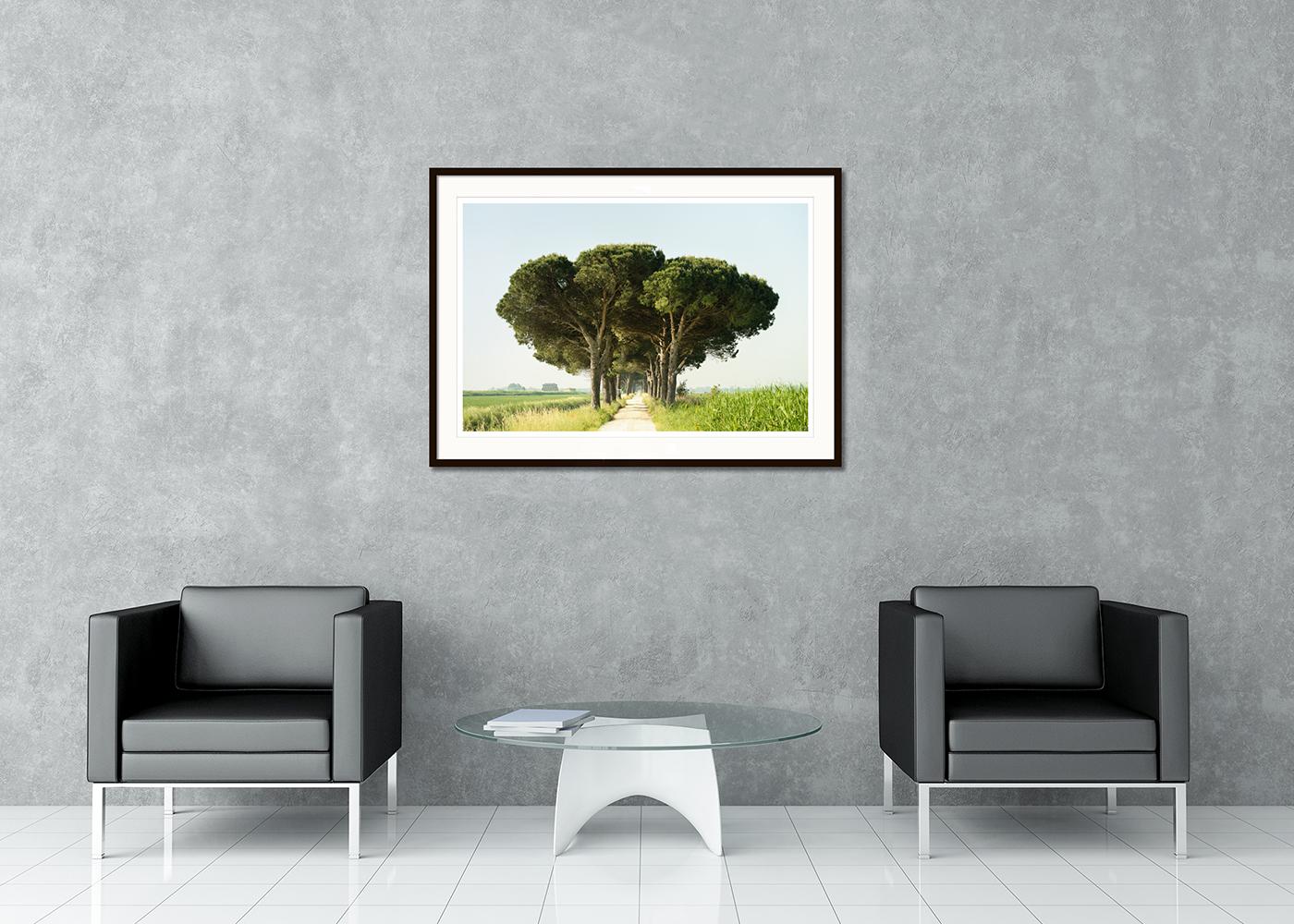 Color fine long landscape photography. Archival pigment ink print as part of a limited edition of 7. All Gerald Berghammer prints are made to order in limited editions on Hahnemuehle Photo Rag Baryta. Each print is stamped on the back and signed and