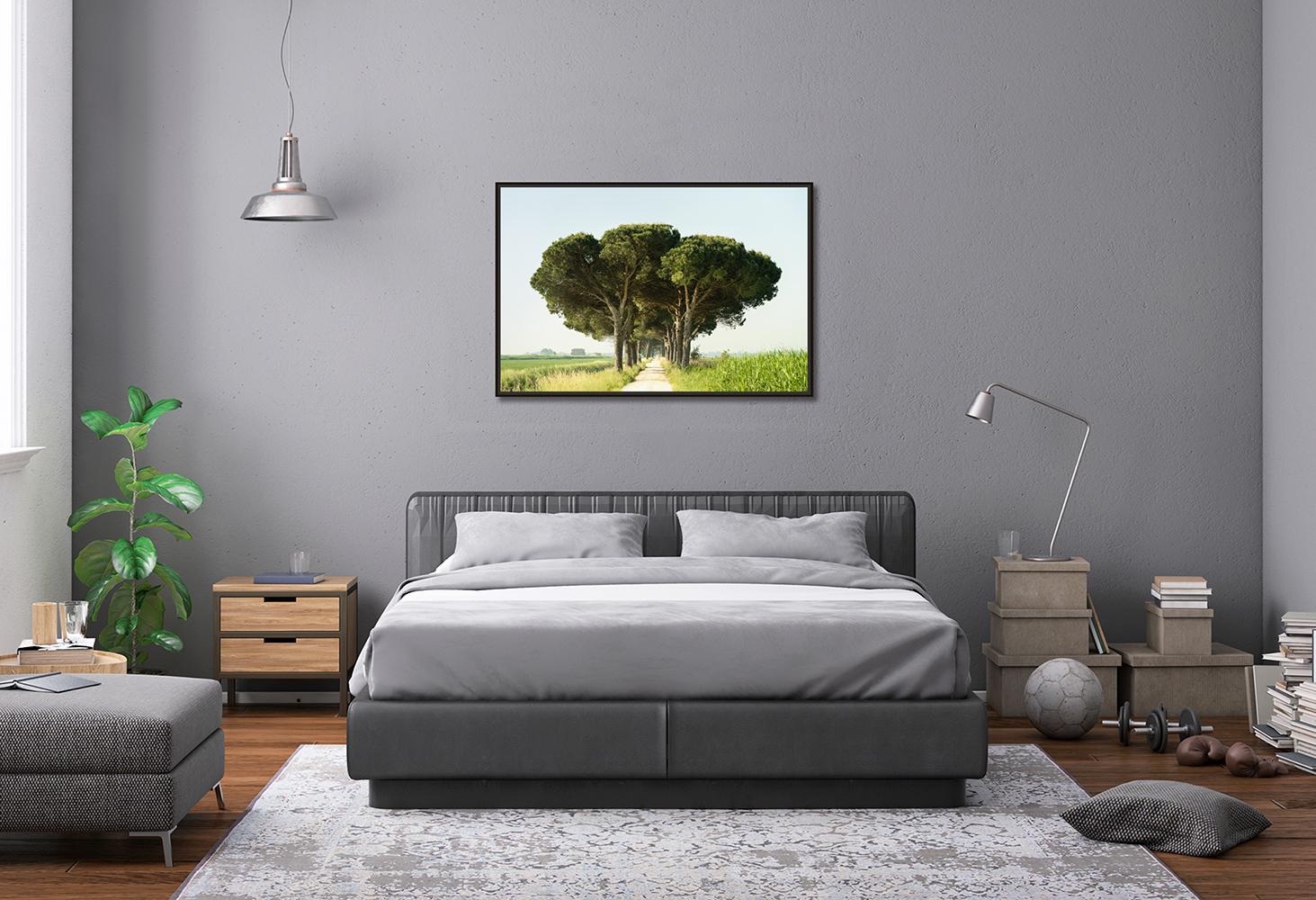 Italian Stone Pine, Emilia-Romagna, large scale photograph, limited edition For Sale 1