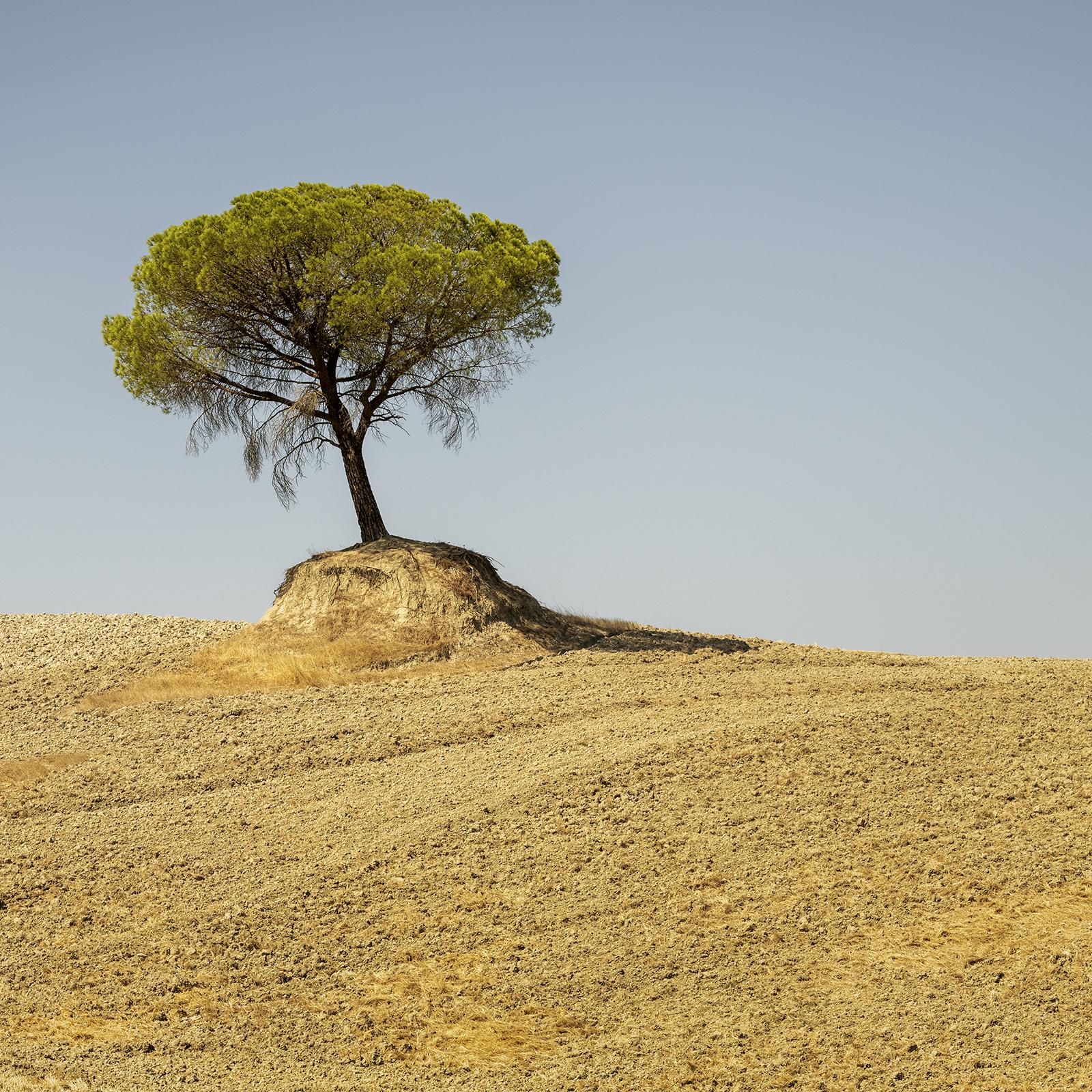 Black and white fine art landscape photography. Archival pigment ink print as part of a limited edition of 7. All Gerald Berghammer prints are made to order in limited editions on Hahnemuehle Photo Rag Baryta. Each print is stamped on the back and