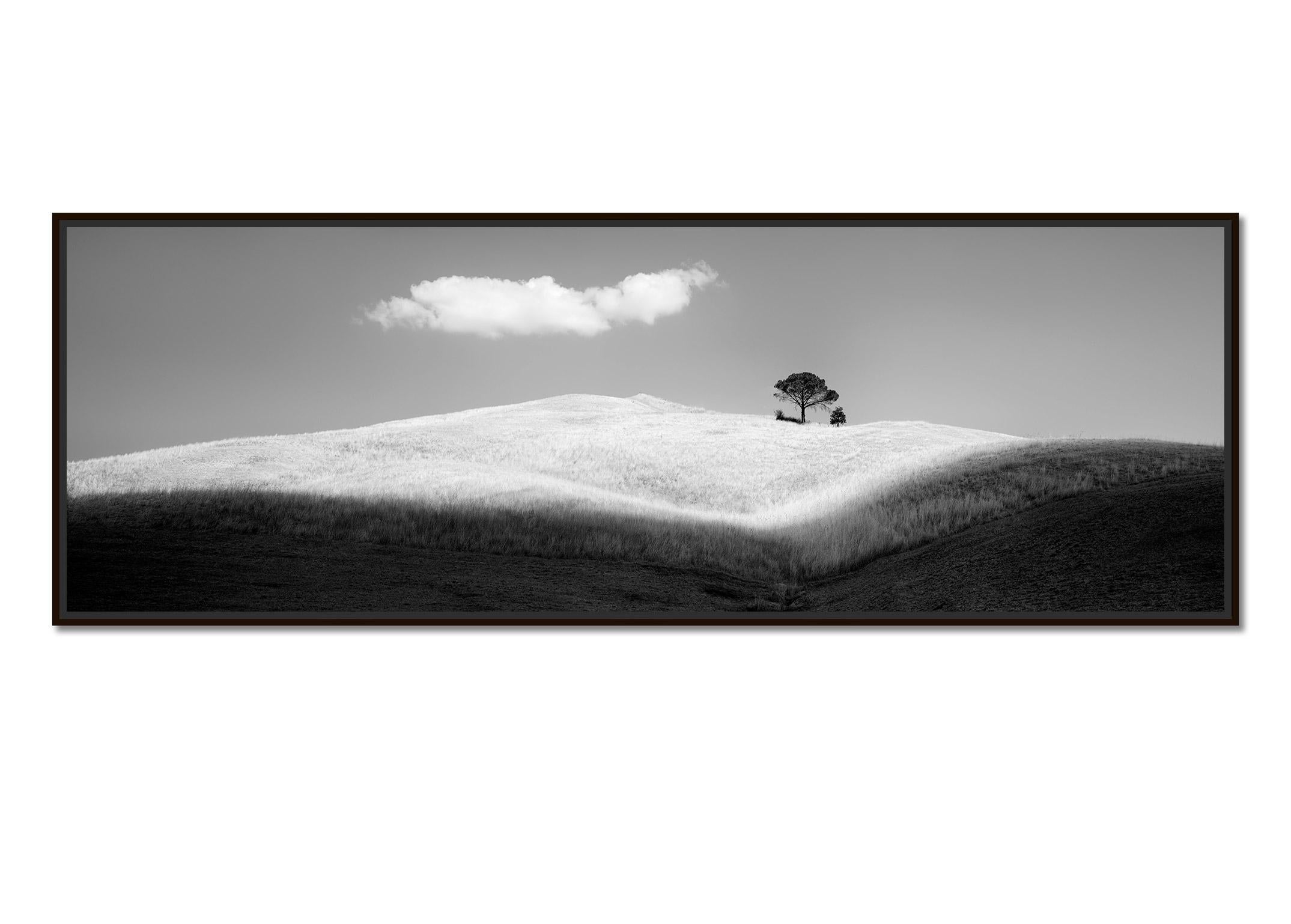 Italian Stone Pines, Panorama, Italy, black and white art photography, landscape - Photograph by Gerald Berghammer