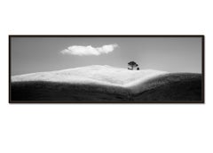 Italian Stone Pines, Panorama, Italy, black and white art photography, landscape