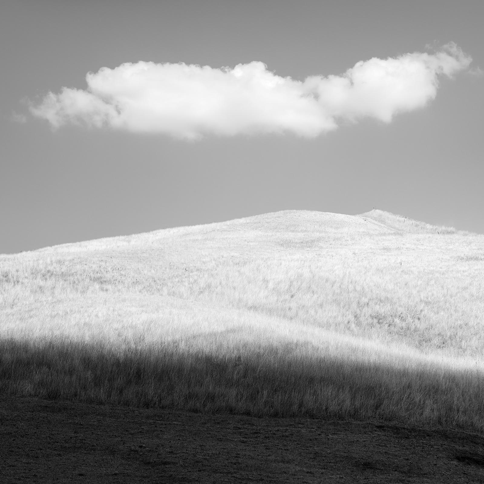 Italian Stone Pines, Panorama, Italy, black and white art photography, landscape For Sale 2