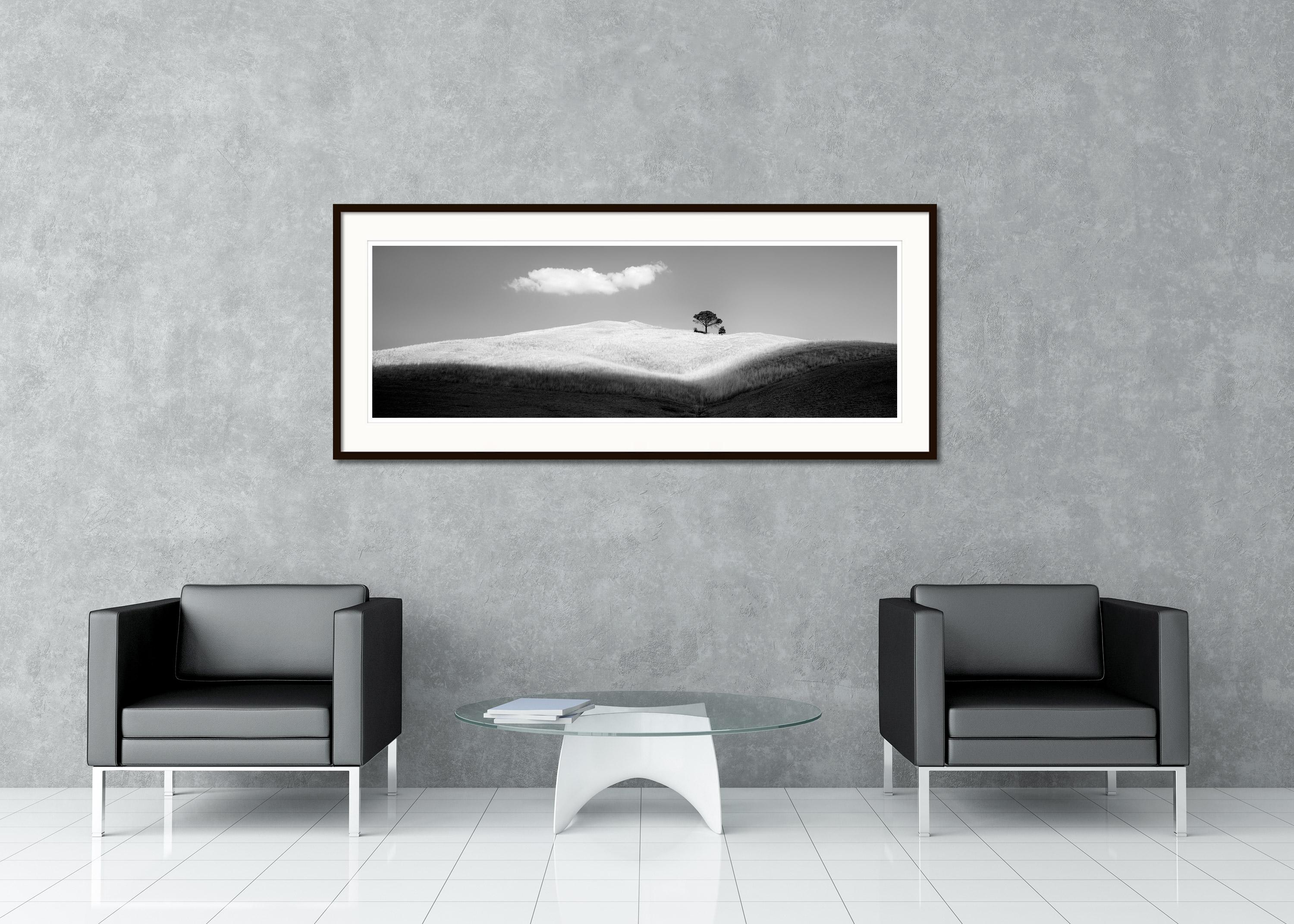 Italian Stone Pines, Panorama, Italy, black and white art photography, landscape - Contemporary Photograph by Gerald Berghammer