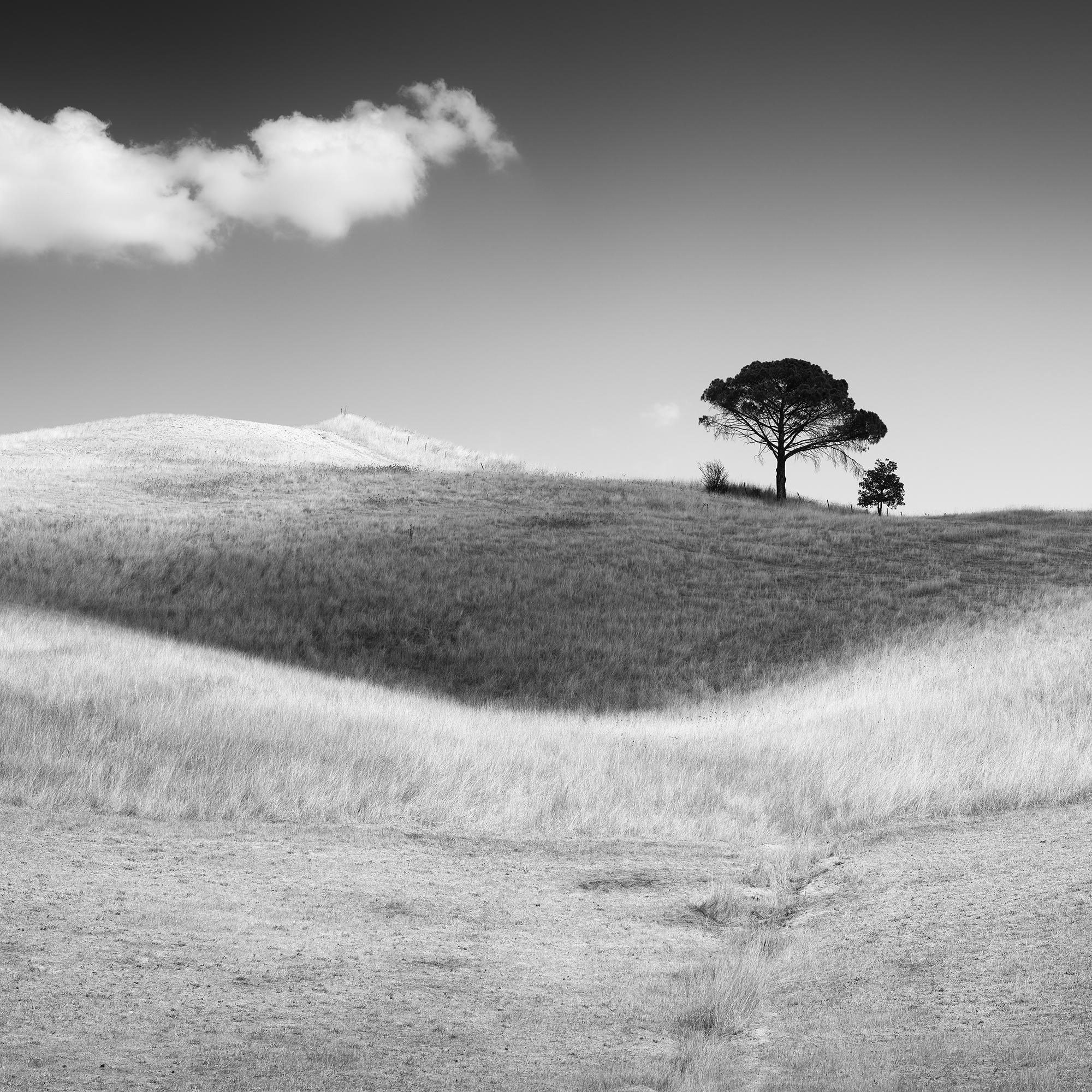 A. Stone, Toscana, Italia, fotografia artistica in bianco e nero, paesaggio in vendita 6
