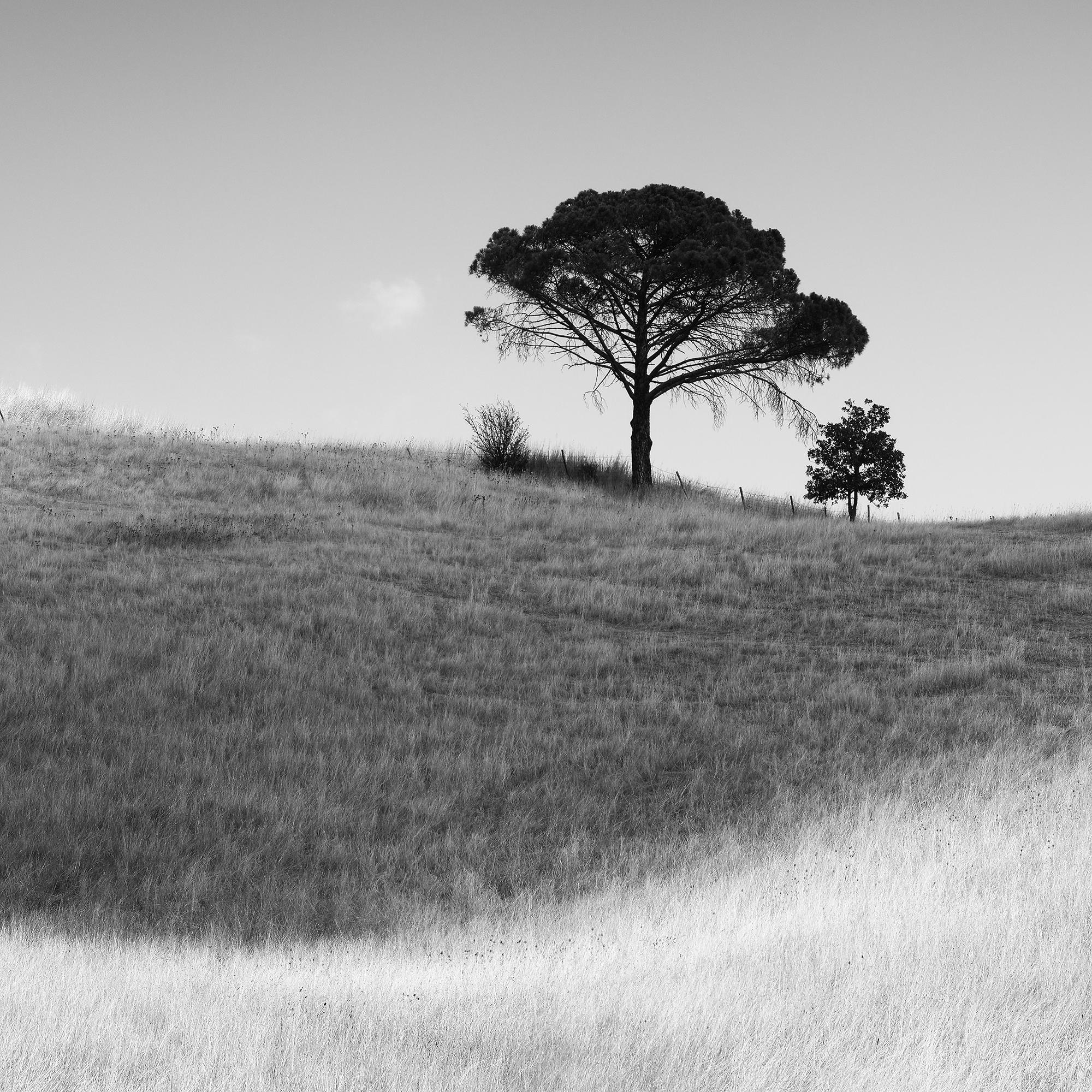 A. Stone, Toscana, Italia, fotografia artistica in bianco e nero, paesaggio in vendita 7