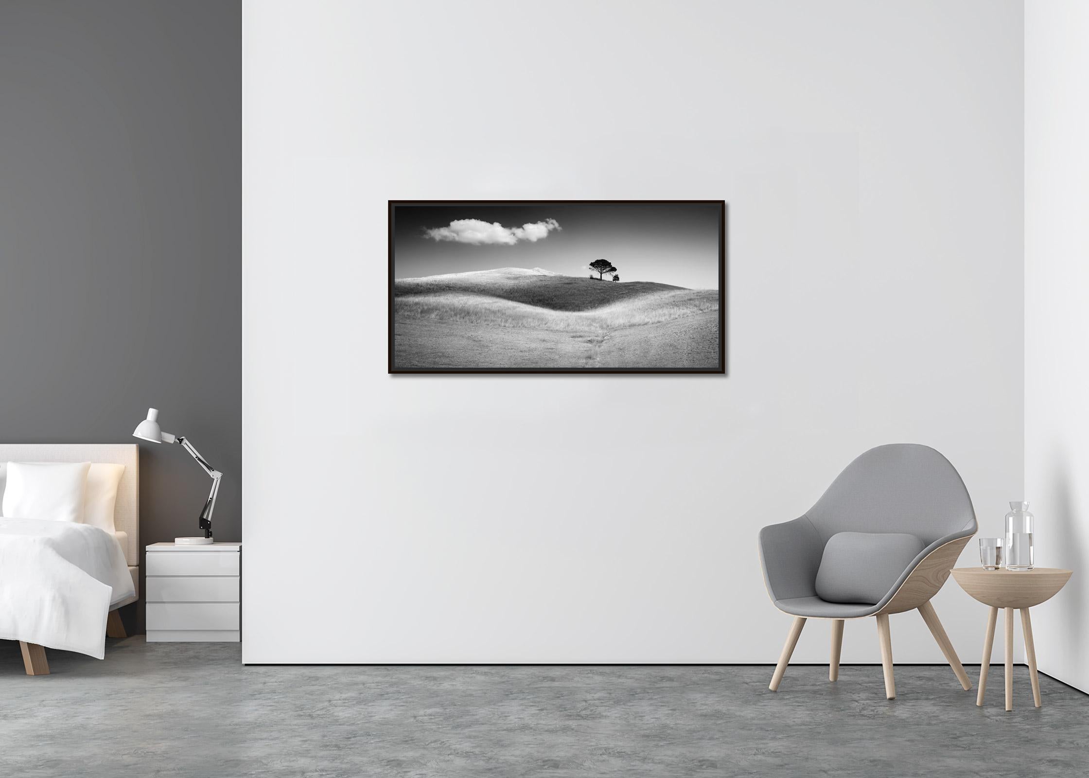 Italienische Stein Kiefernholz, Toskana, Italien, Schwarz-Weiß-Kunstfotografie, Landschaft (Zeitgenössisch), Photograph, von Gerald Berghammer