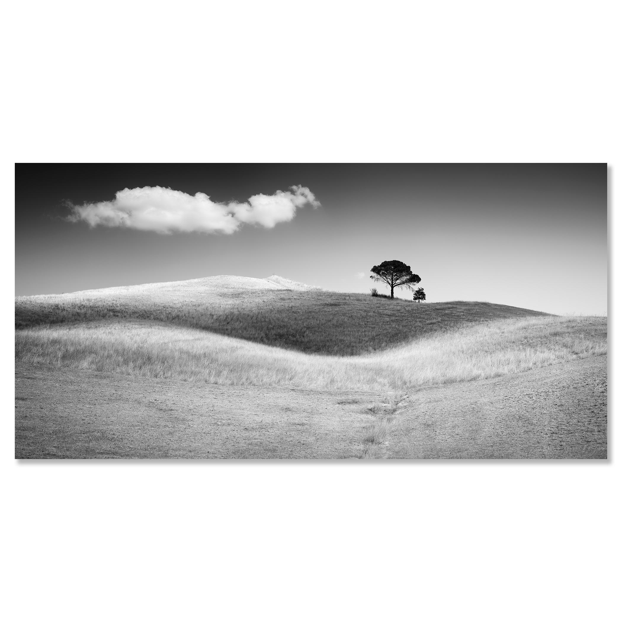 A. Stone, Toscana, Italia, fotografia artistica in bianco e nero, paesaggio in vendita 3