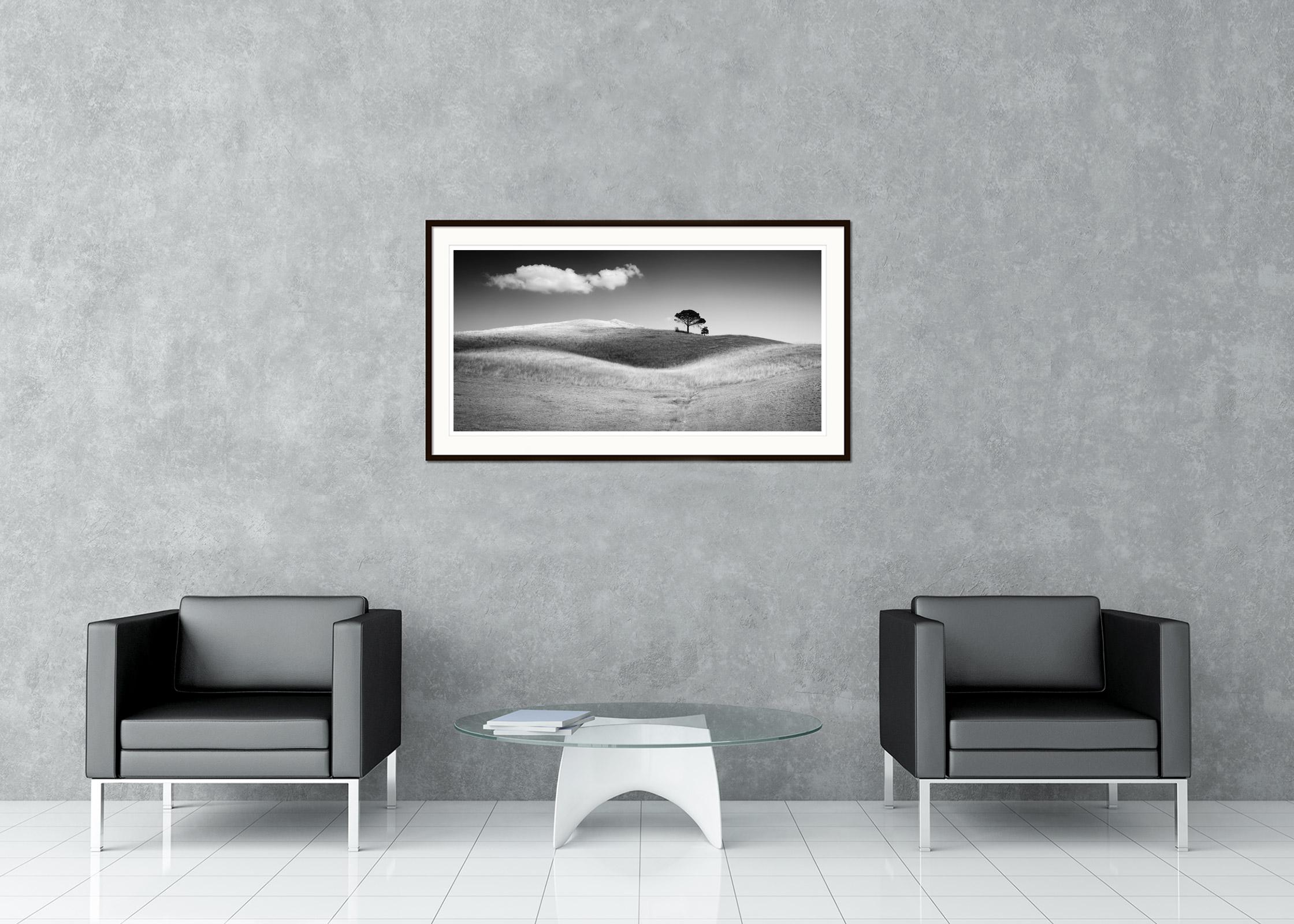 Schwarz-Weiß-Fotografie von Landschaften. Italienische Zirbelkiefer auf einem Hügel mit einer großen Wolke und Schatten über dem Feld, Toskana. Pigmenttintendruck, Auflage 7, signiert, betitelt, datiert und nummeriert vom Künstler. Mit