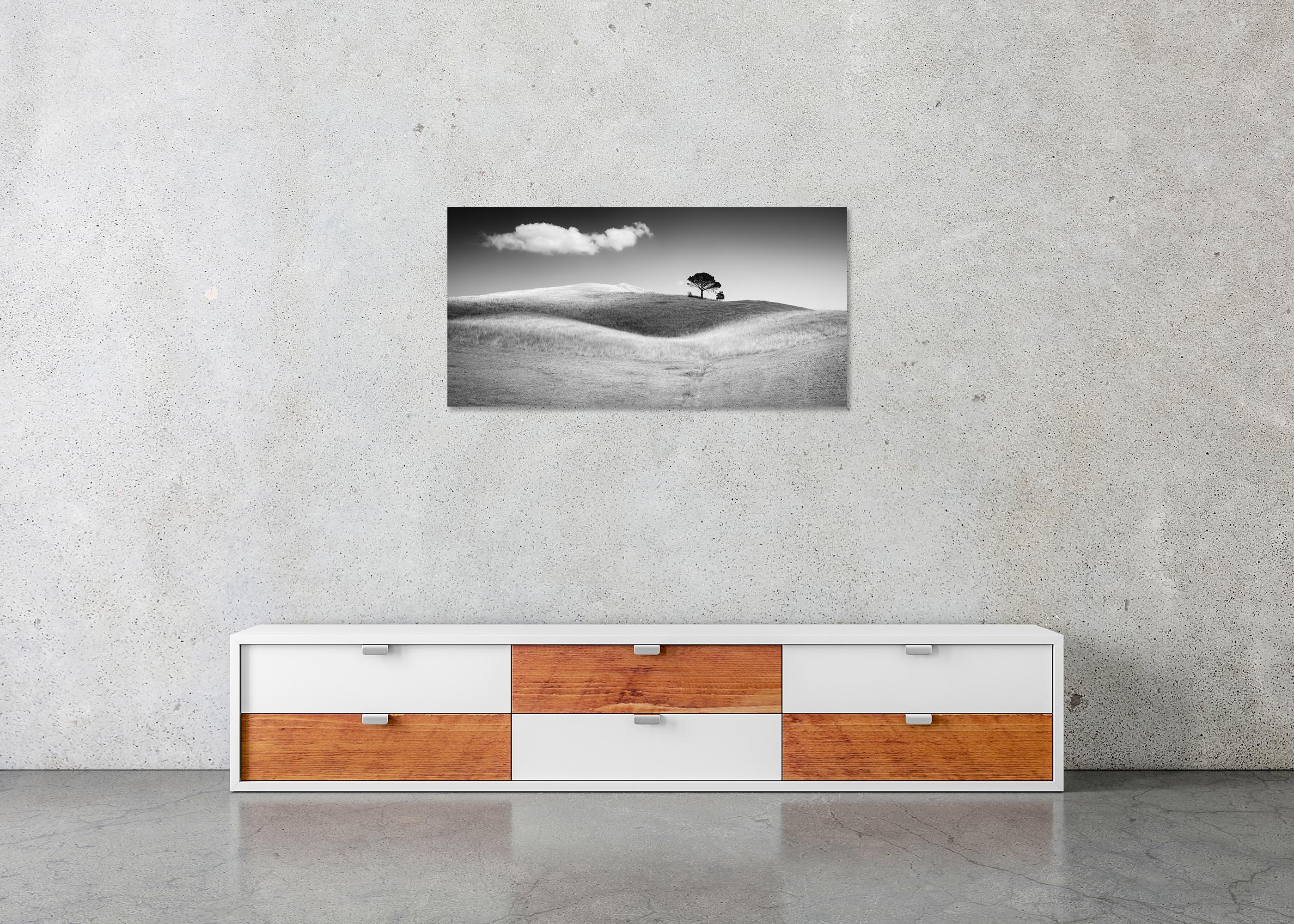 A. Stone, Toscana, Italia, fotografia artistica in bianco e nero, paesaggio in vendita 4