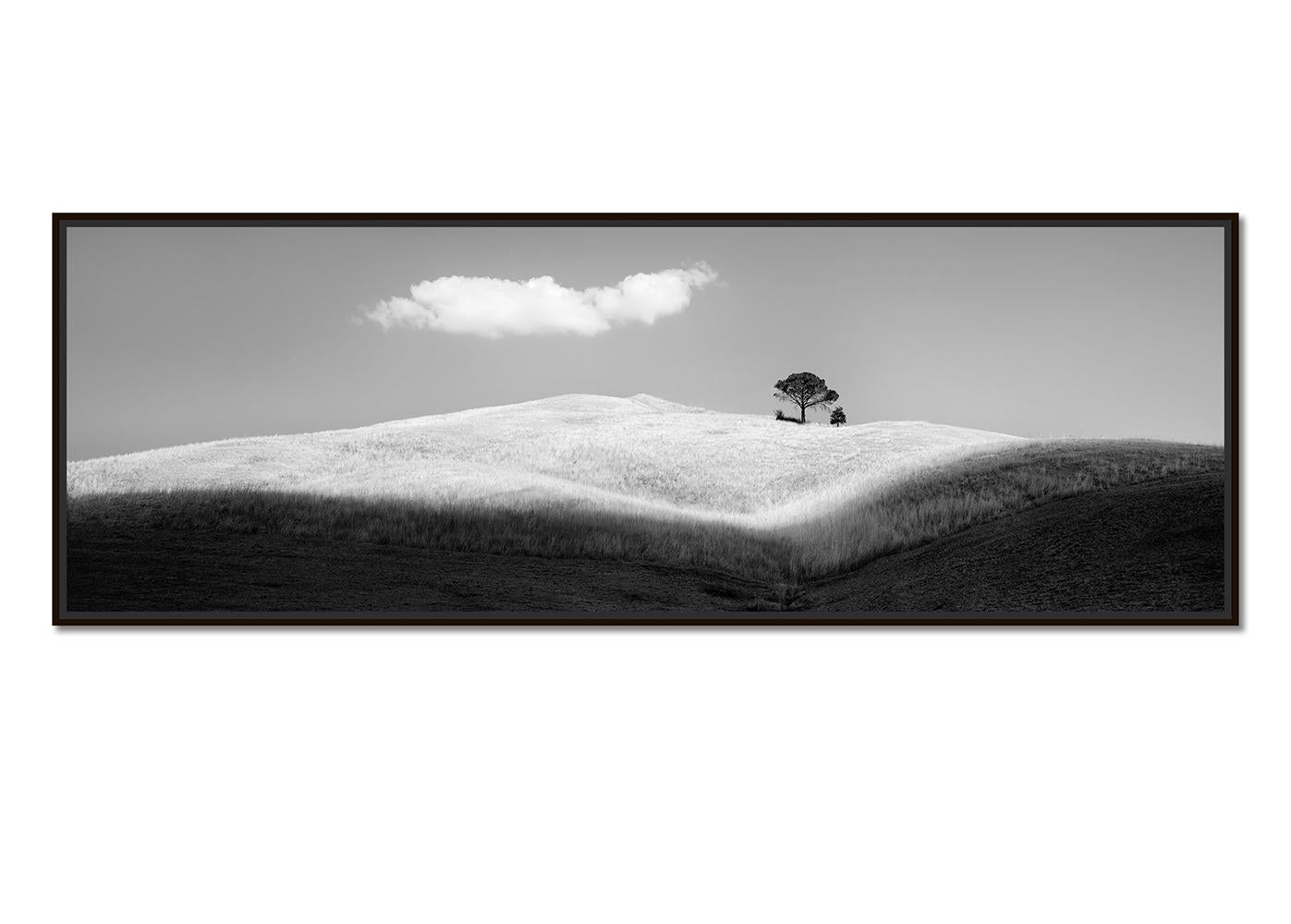 Italienische Stein Kiefern, Toskana, Italien, Schwarz-Weiß-Fotografie, limitierte Auflage – Photograph von Gerald Berghammer