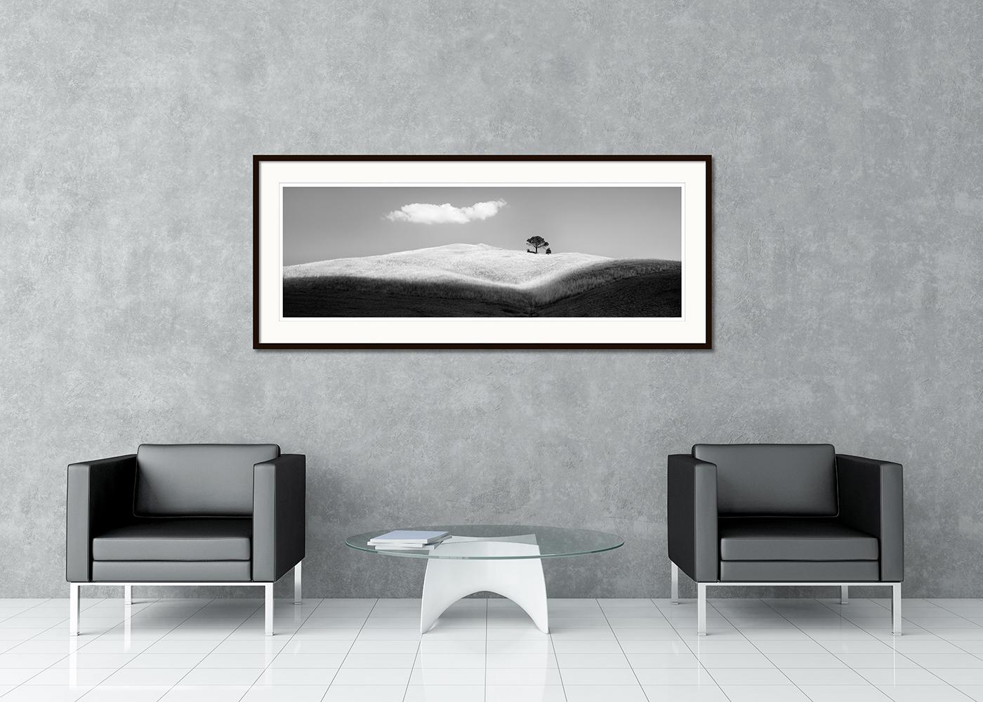 Italienische Stein Kiefern, Toskana, Italien, Schwarz-Weiß-Fotografie, limitierte Auflage (Grau), Landscape Photograph, von Gerald Berghammer