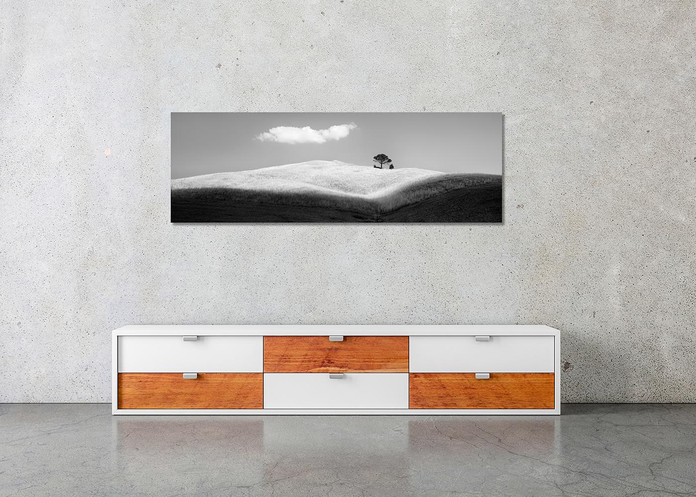 Italienische Stein Kiefern, Toskana, Italien, Schwarz-Weiß-Fotografie, limitierte Auflage im Angebot 1